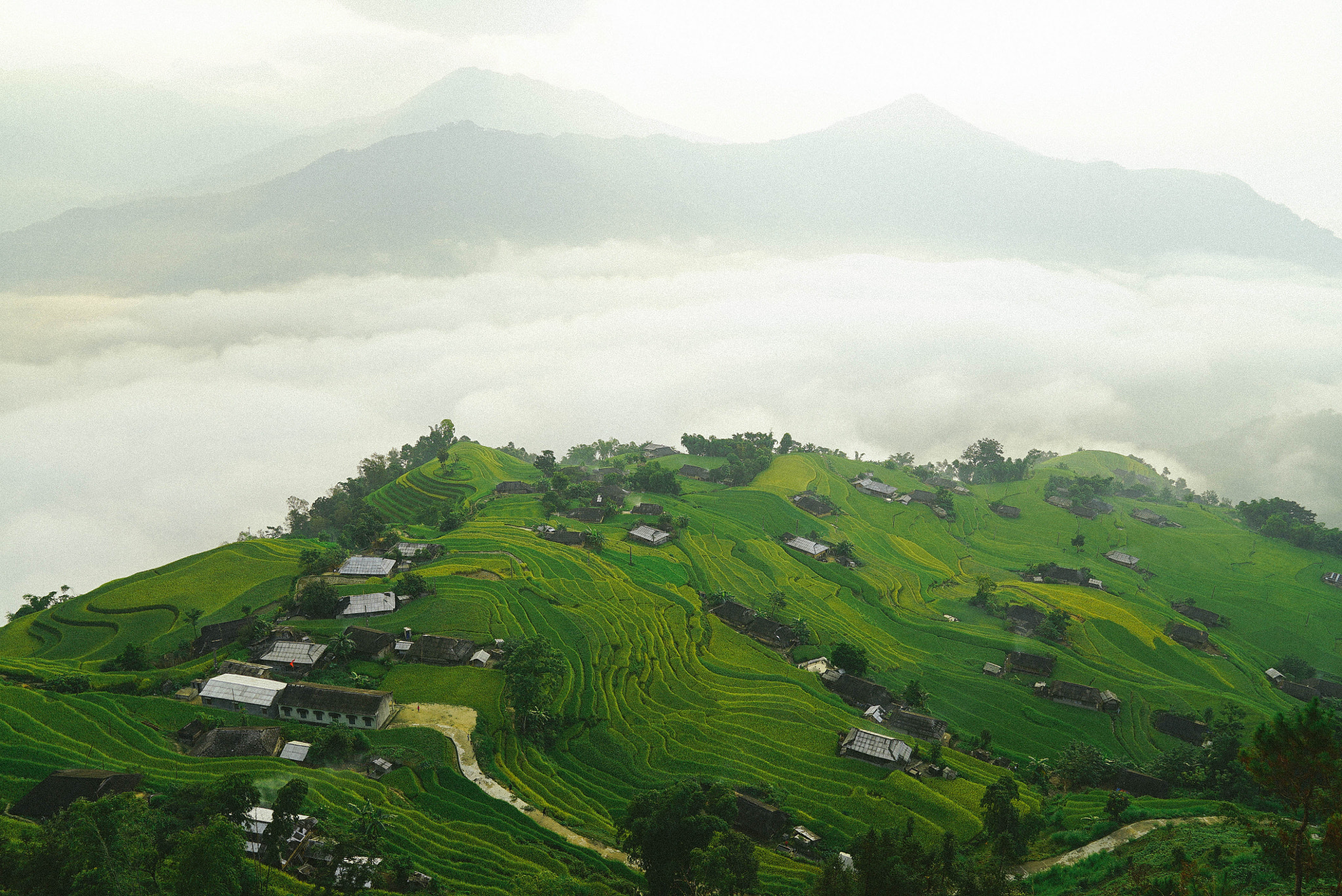 Sony FE 24-70mm F2.8 GM sample photo. Northwest journey in vietnam photography