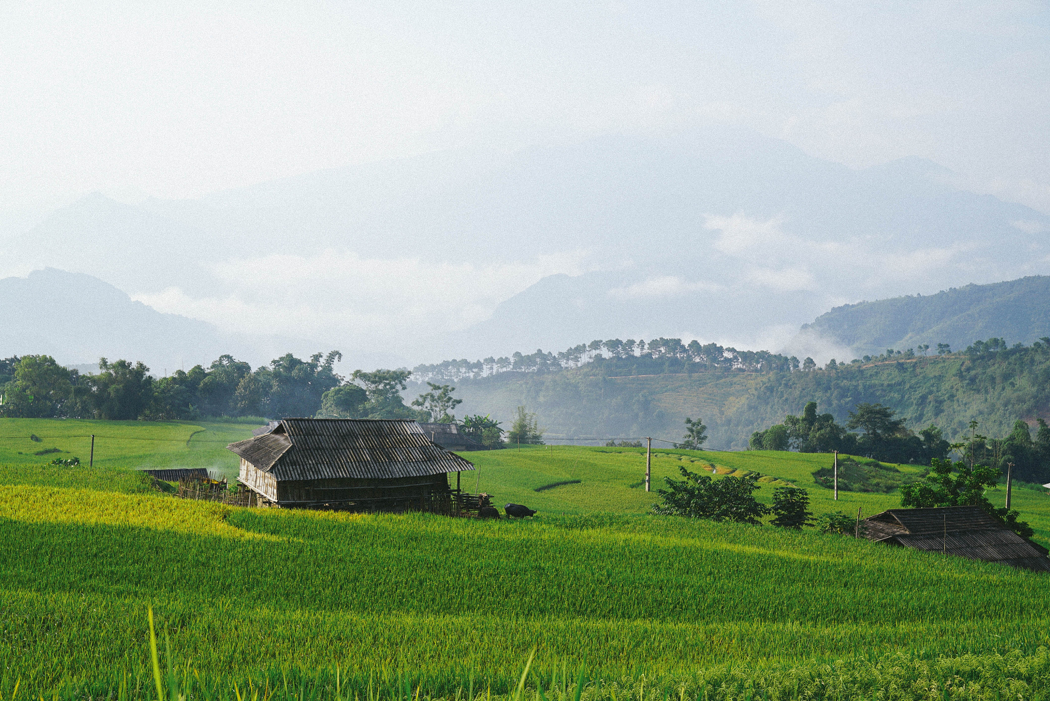 Sony FE 24-70mm F2.8 GM sample photo. Northwest journey in vietnam photography