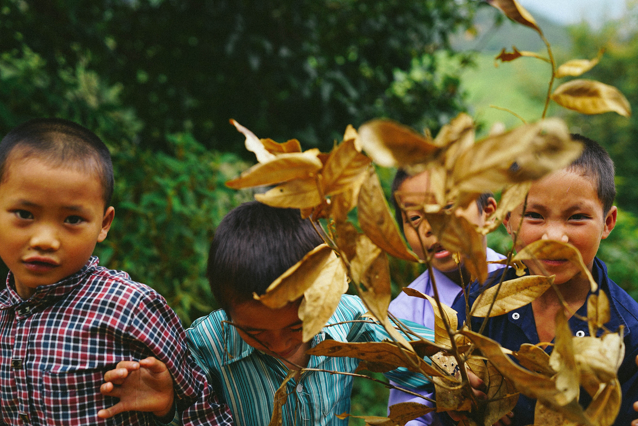 Sony FE 24-70mm F2.8 GM sample photo. Northwest journey in vietnam photography