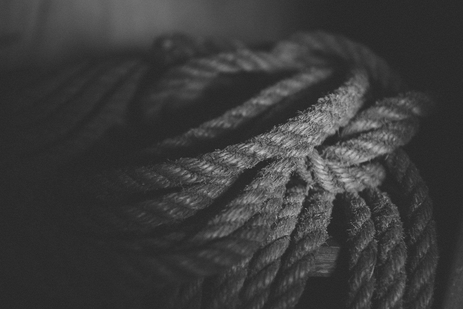 Sony Alpha DSLR-A900 + Sony Vario-Sonnar T* 24-70mm F2.8 ZA SSM sample photo. Old rope photography