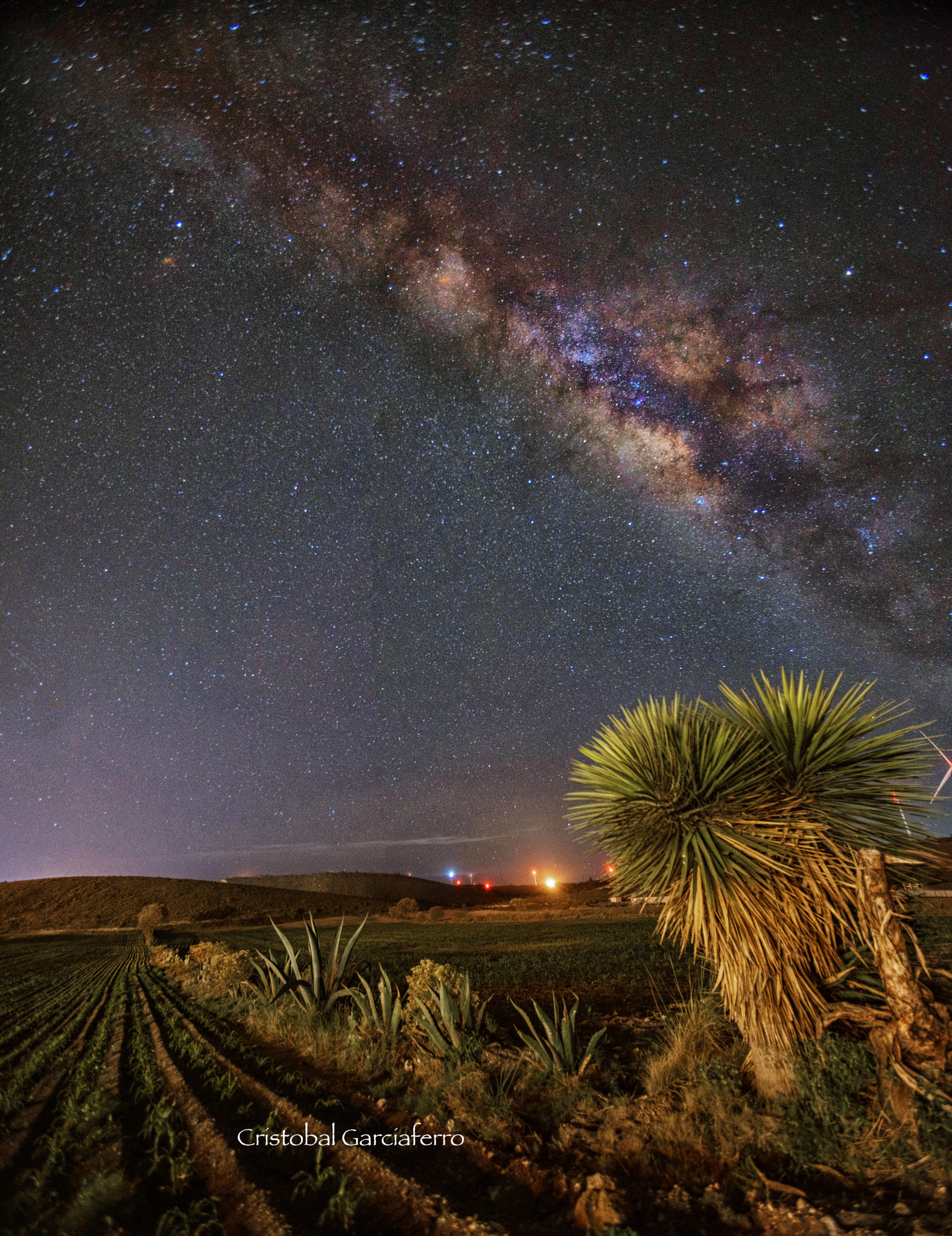 Sony a7R sample photo. Milky way and agave photography