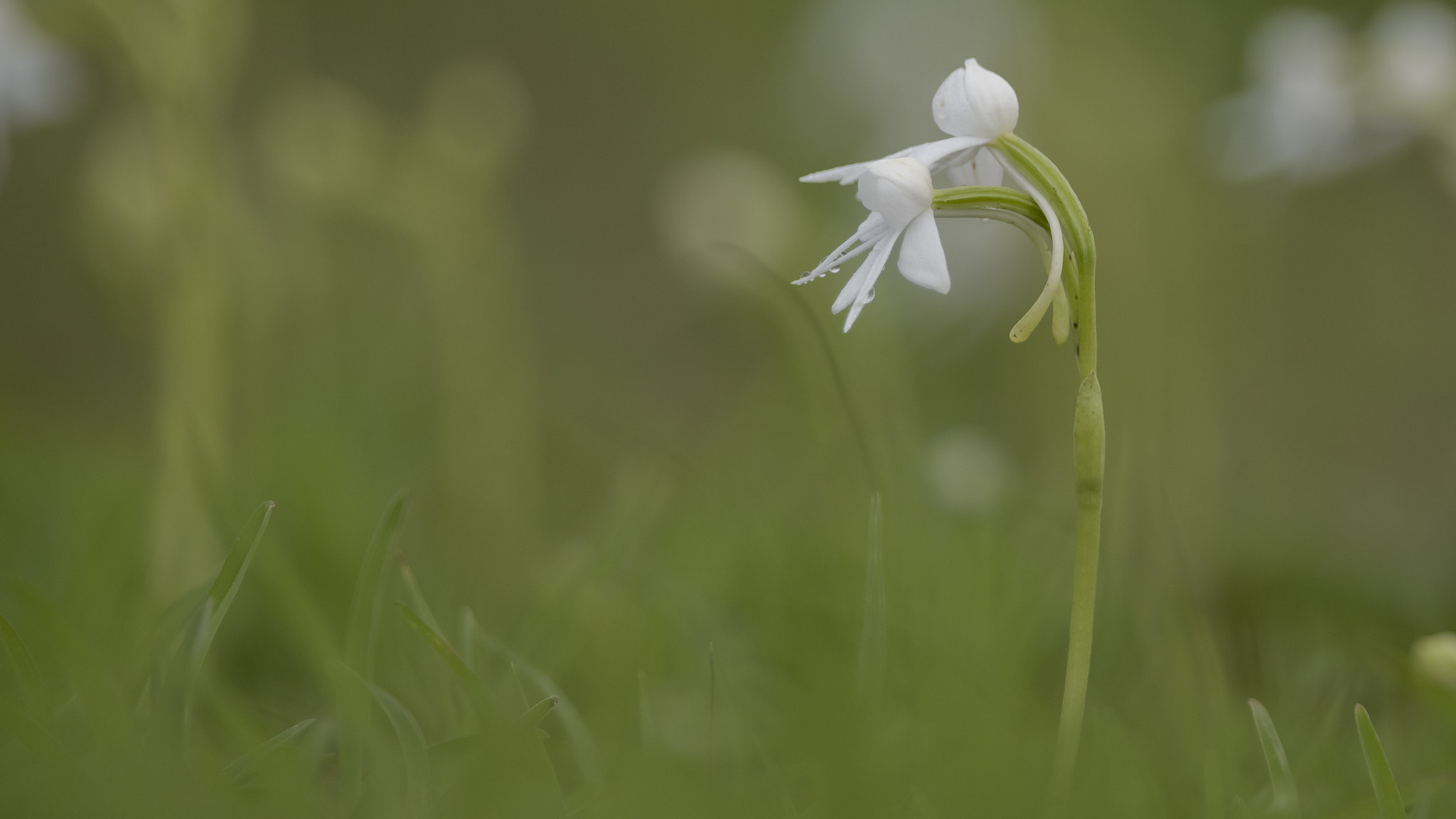 Nikon D750 + Sigma 18-200mm F3.5-6.3 DC sample photo