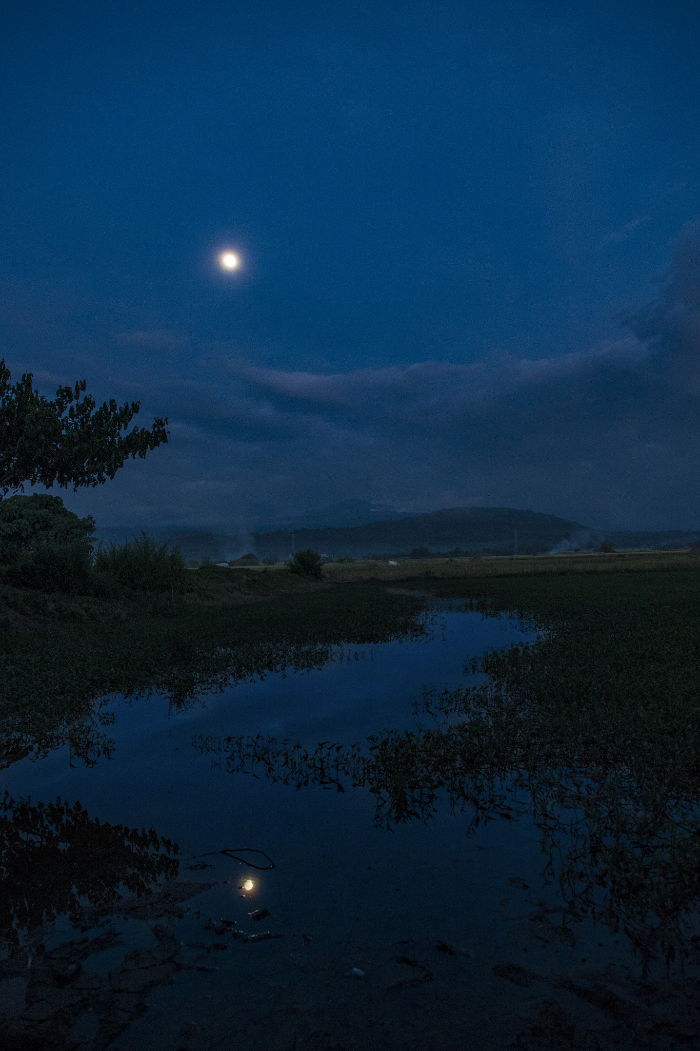 Nikon D800 sample photo. Its night photography