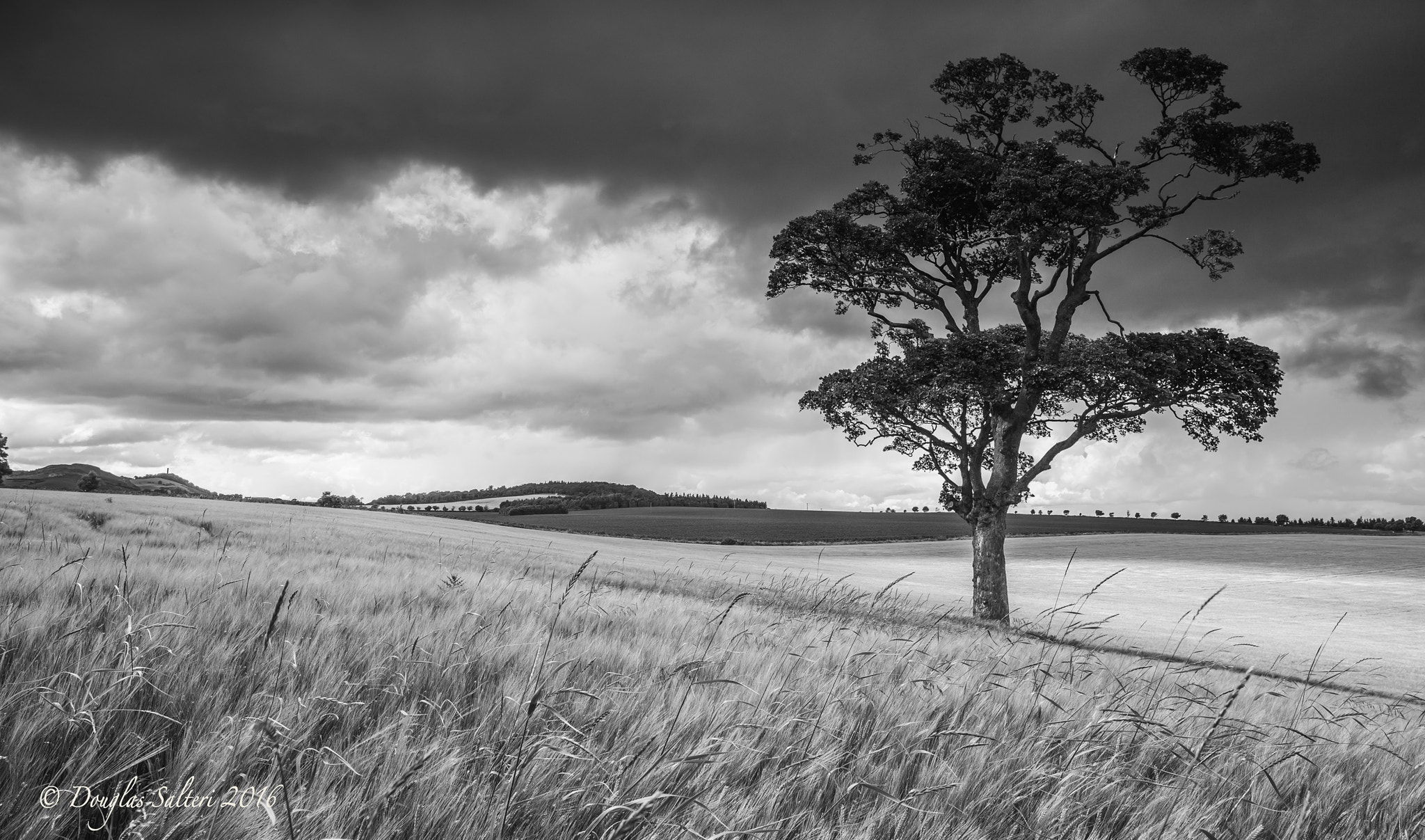 Canon EOS-1Ds Mark III sample photo. Athelstaneford... photography