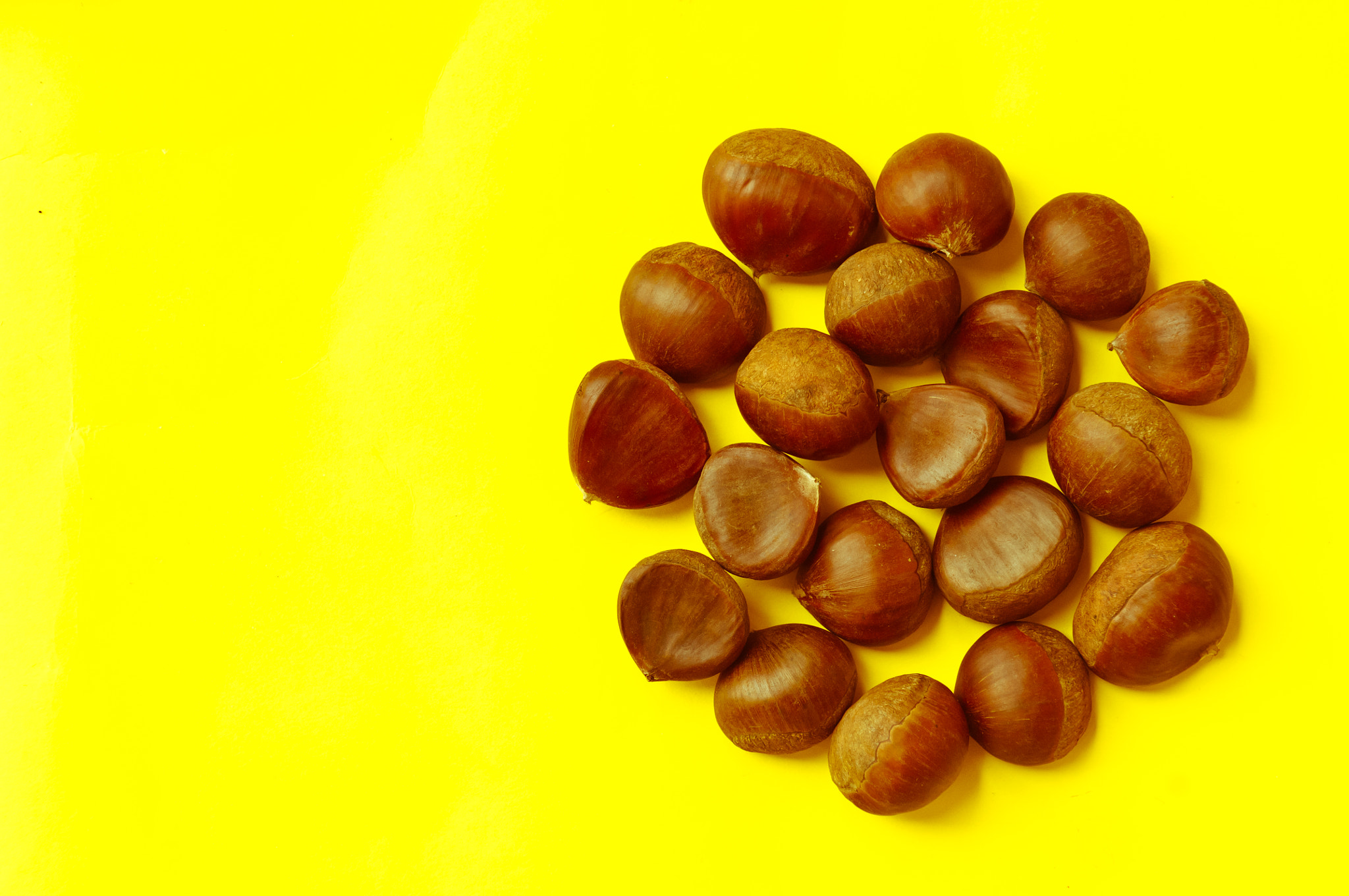 Nikon D2X + Nikon AF-S DX Nikkor 17-55mm F2.8G ED-IF sample photo. Chestnuts pattern on yellow background top view chestnut photography