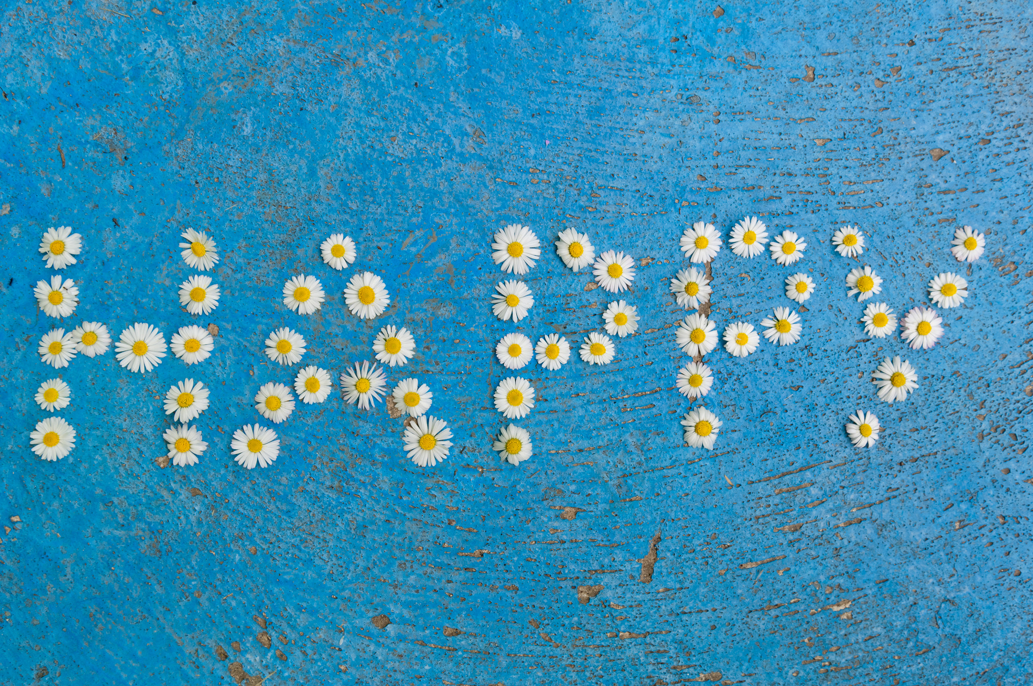 Nikon D2X + Nikon AF-S DX Nikkor 17-55mm F2.8G ED-IF sample photo. The word happy written of daisy flowers on blue background photography