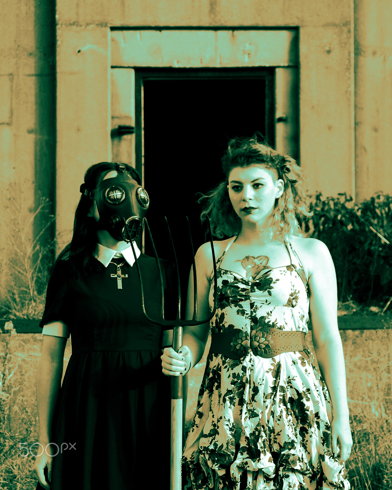 Sony DT 16-105mm F3.5-5.6 sample photo. Gothic americans photography