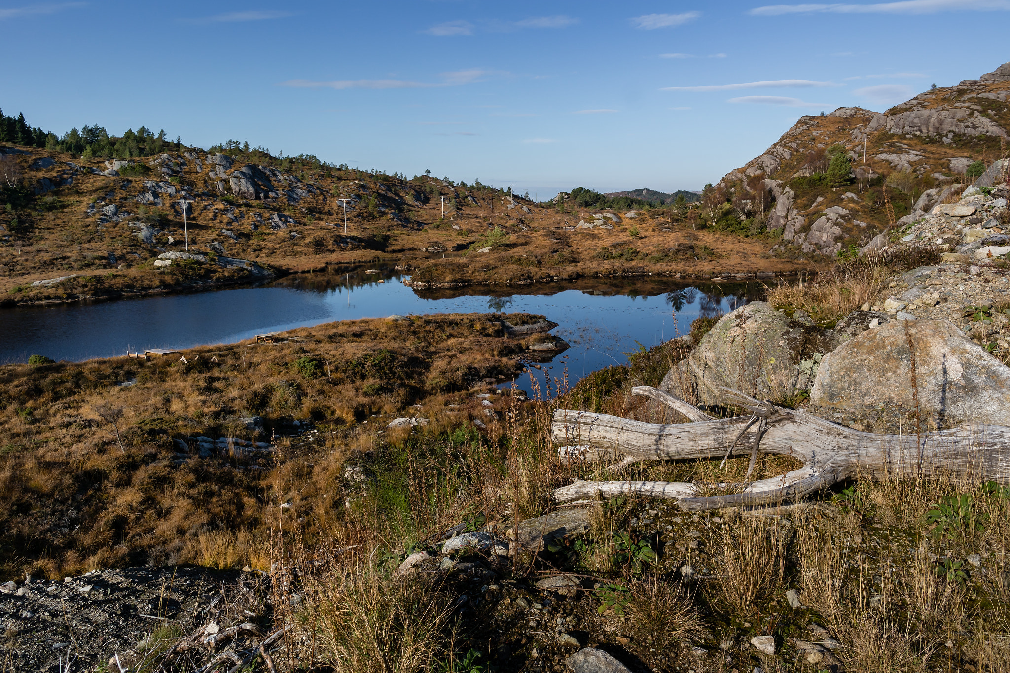 Samsung NX30 + Samsung NX 18-55mm F3.5-5.6 OIS sample photo. "neighborhood wilderness ii" photography