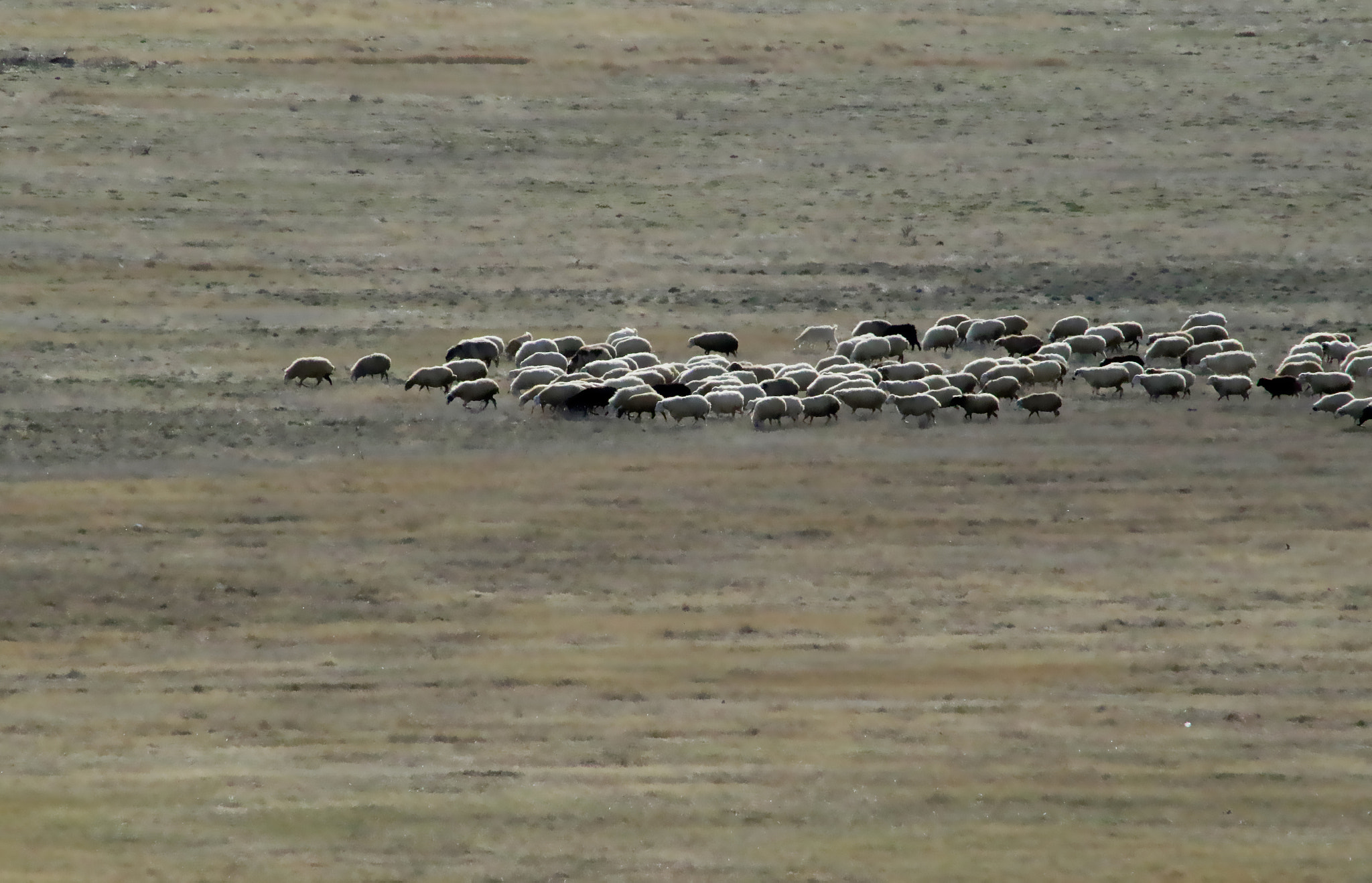 EF75-300mm f/4-5.6 sample photo. Armenia photography