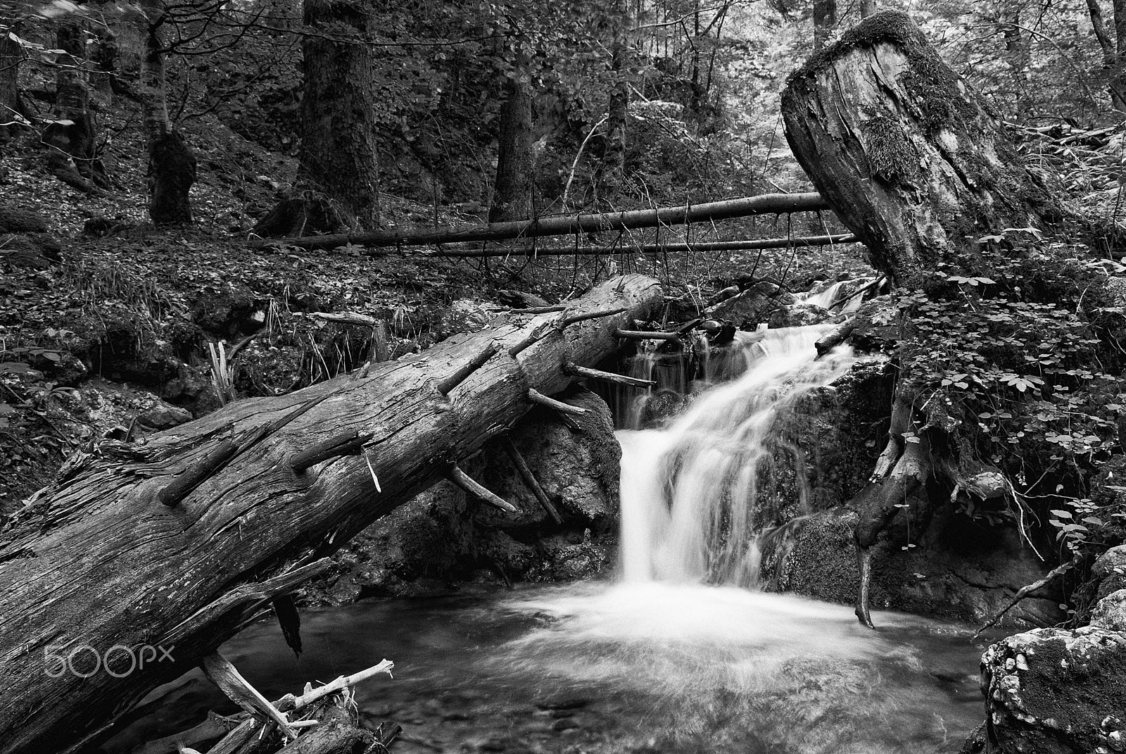 Pentax K200D sample photo. Mountain creek photography