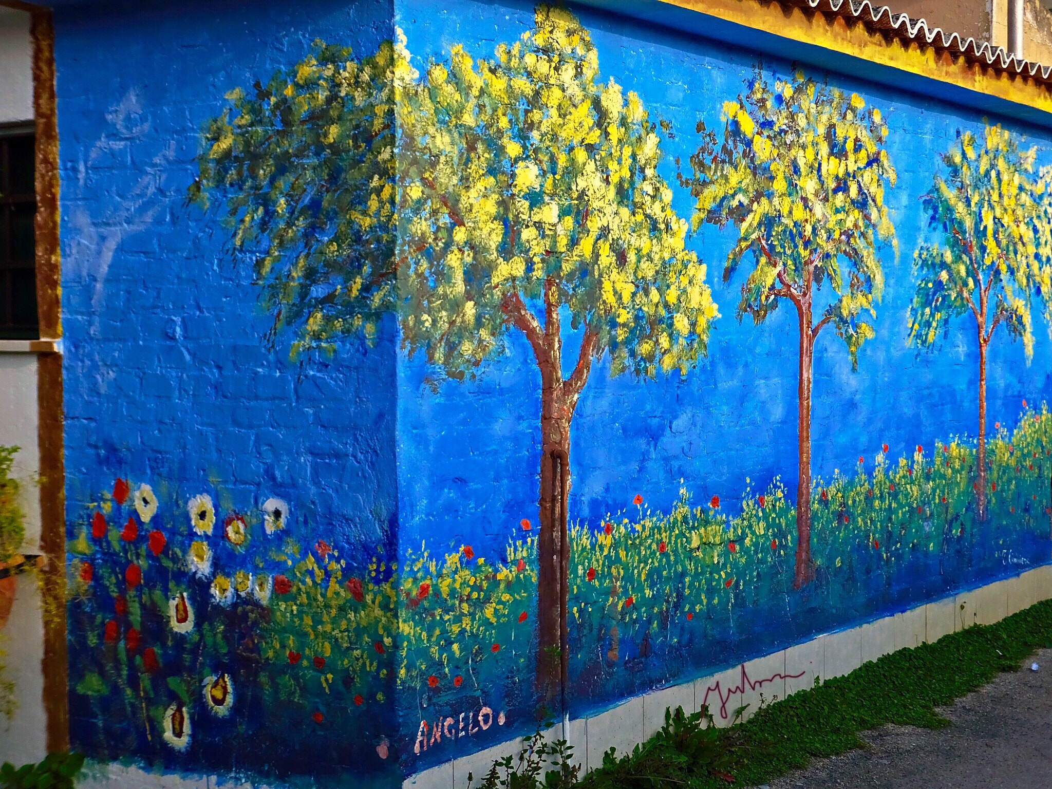 Fujifilm FinePix F900EXR sample photo. Murals photography