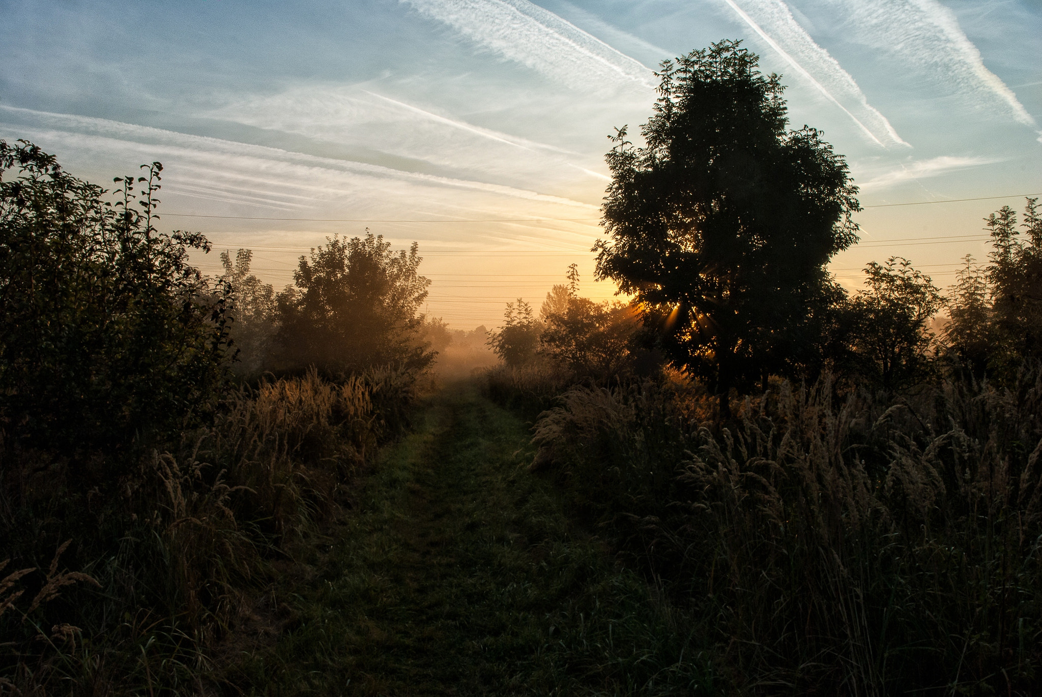 Nikon D3000 sample photo. Misty morning photography