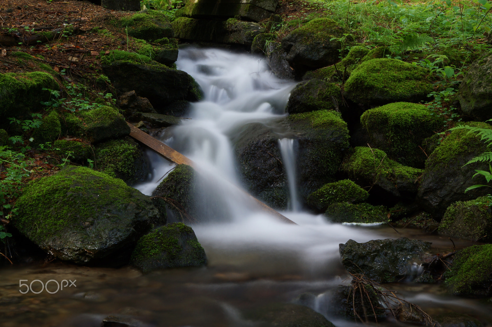 Sony SLT-A65 (SLT-A65V) sample photo. Bavarian forest iii photography