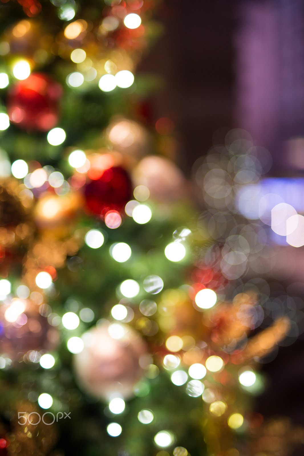 Sigma 50mm F1.4 EX DG HSM sample photo. Abstract christmas background with bokeh light photography