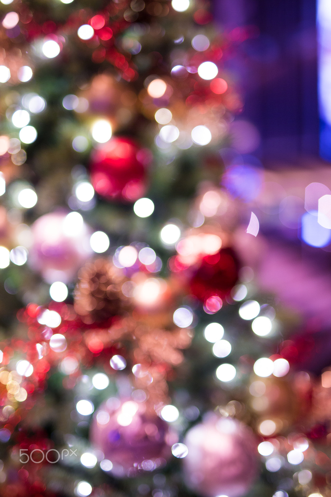 Sigma 50mm F1.4 EX DG HSM sample photo. Abstract christmas background with bokeh light photography