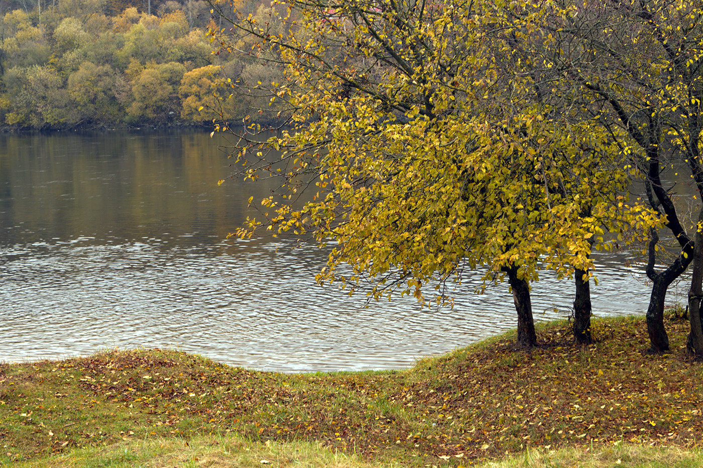 Canon EOS 600D (Rebel EOS T3i / EOS Kiss X5) + Canon EF 24-70mm F2.8L USM sample photo. Autumn coast photography