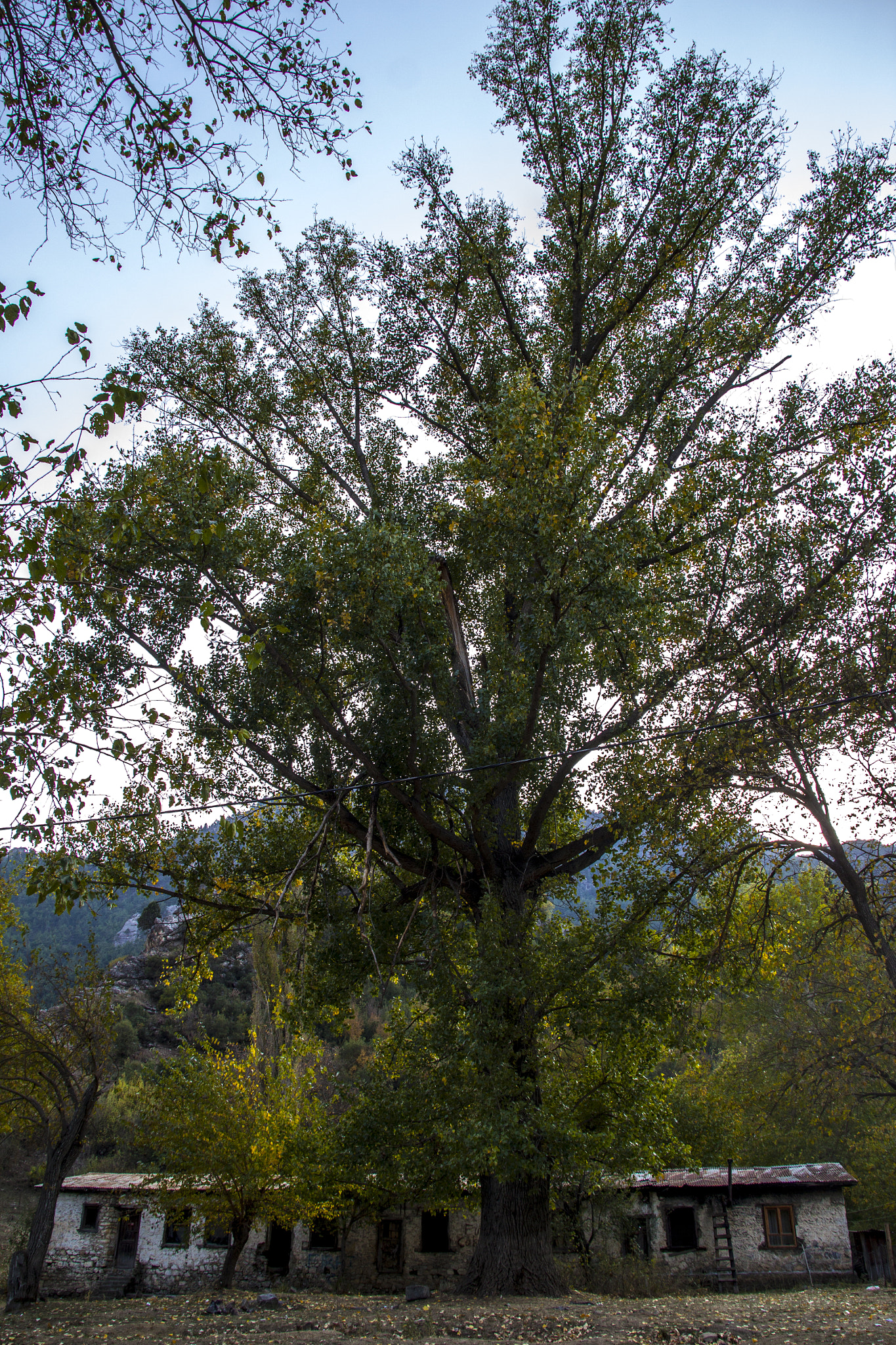 Sigma 18-200mm f/3.5-6.3 DC OS sample photo. Slice 3 photography