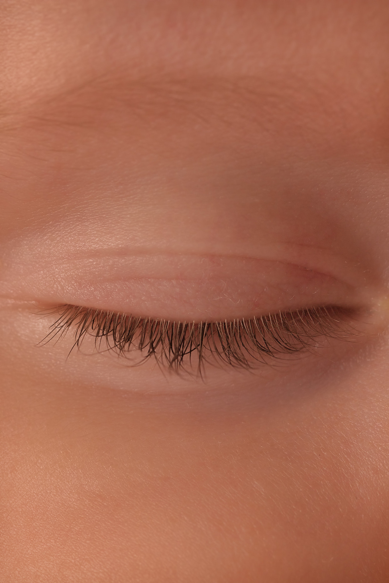 Sigma 105mm F2.8 EX DG Macro sample photo. Sweet dreams photography