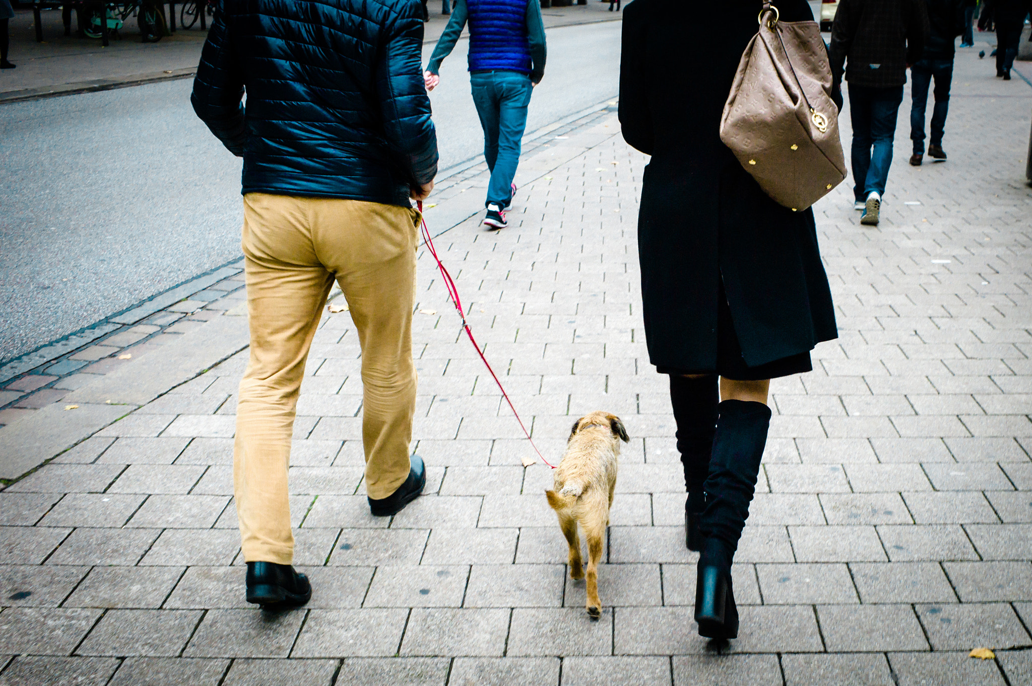 Leica M9 + Leica Summarit-M 35mm F2.5 sample photo. Brown photography