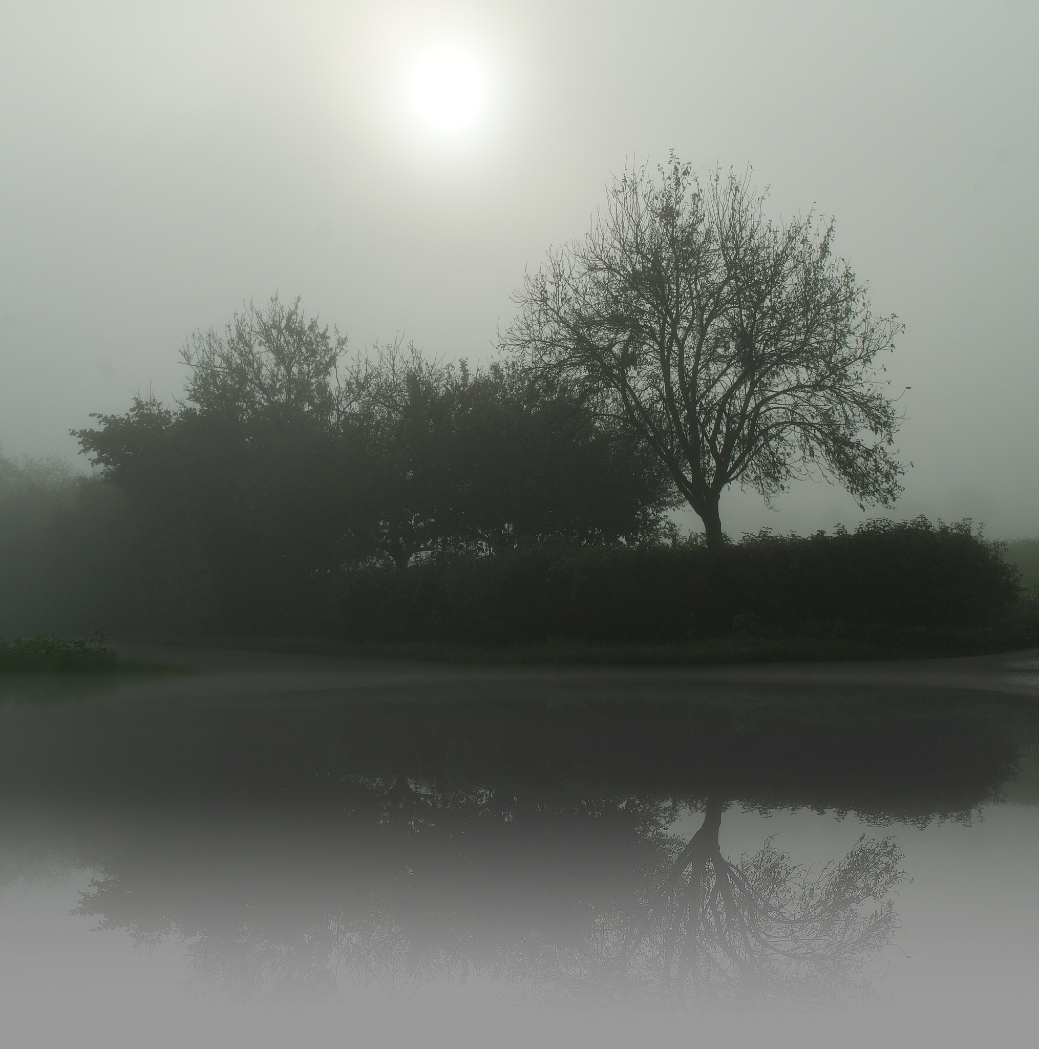Sony Alpha DSLR-A290 sample photo. Melancholy photography