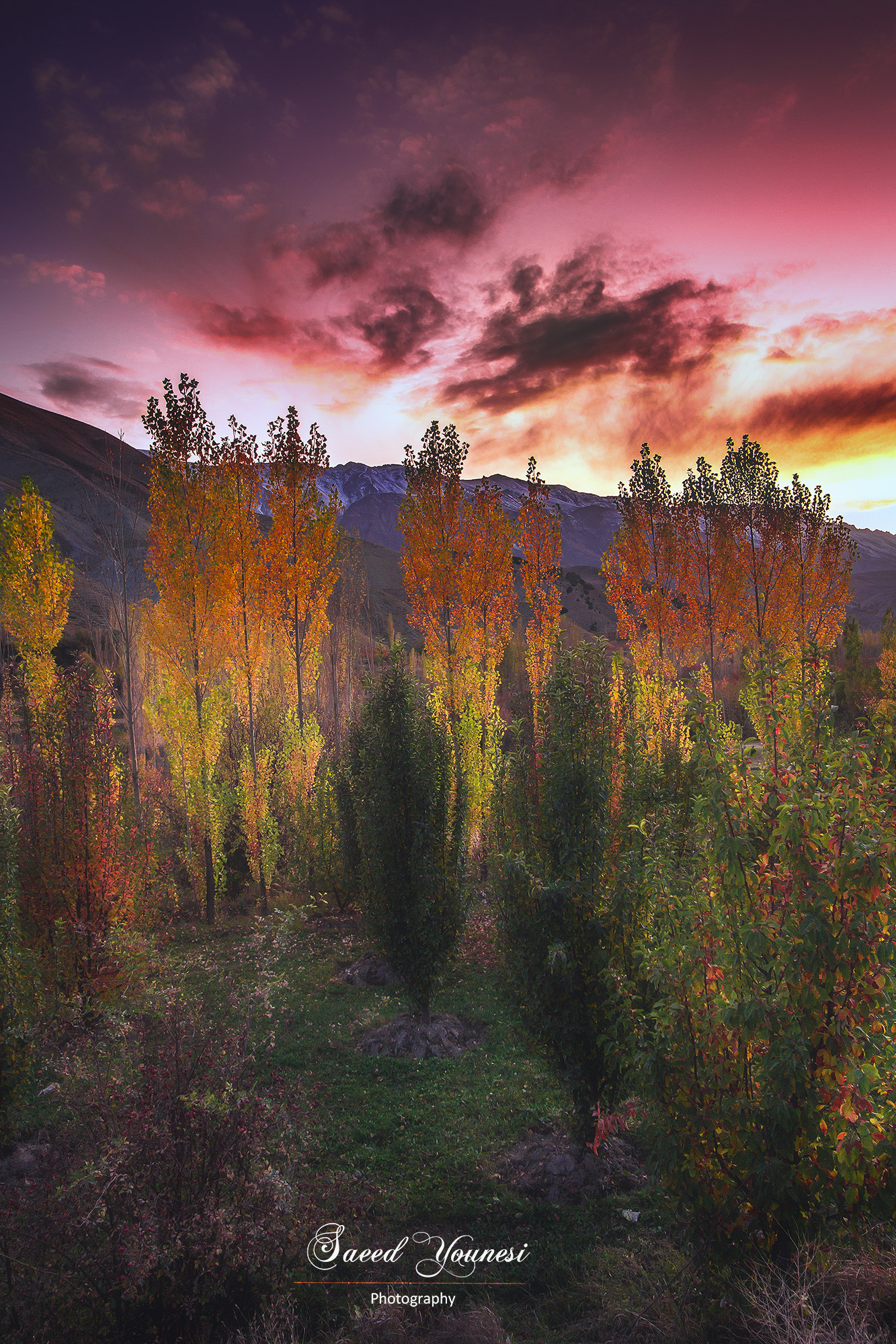 Sigma 8-16mm F4.5-5.6 DC HSM sample photo. Fires in the fall! photography