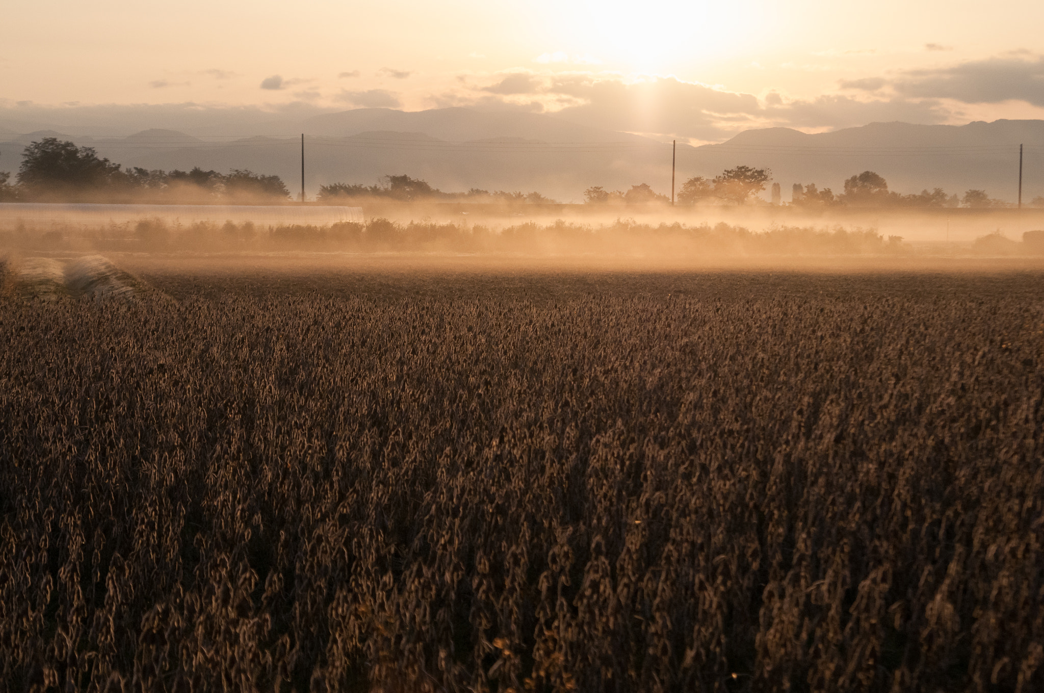 Nikon D300S sample photo. Sunrise photography