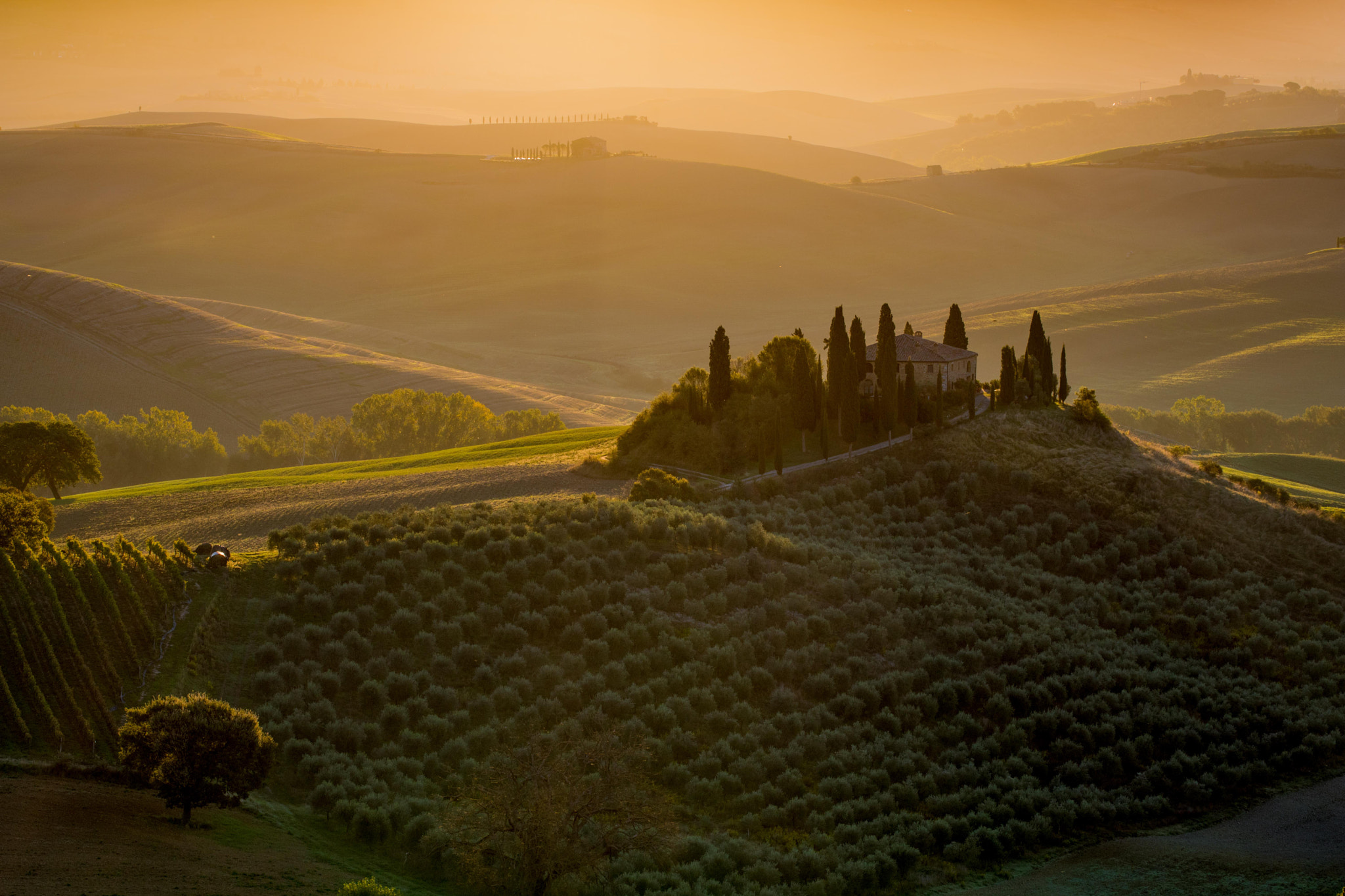 Canon EOS 750D (EOS Rebel T6i / EOS Kiss X8i) + Canon EF 70-200mm F4L USM sample photo. Podere belvedere in val d'orcia, tuscany photography