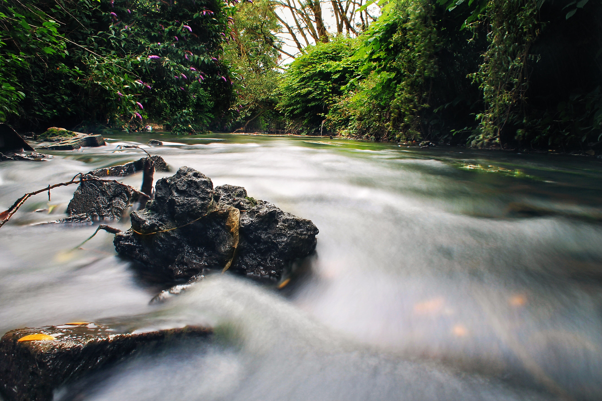 Canon EF-S 18-55mm F3.5-5.6 IS II sample photo. Stoke river path photography
