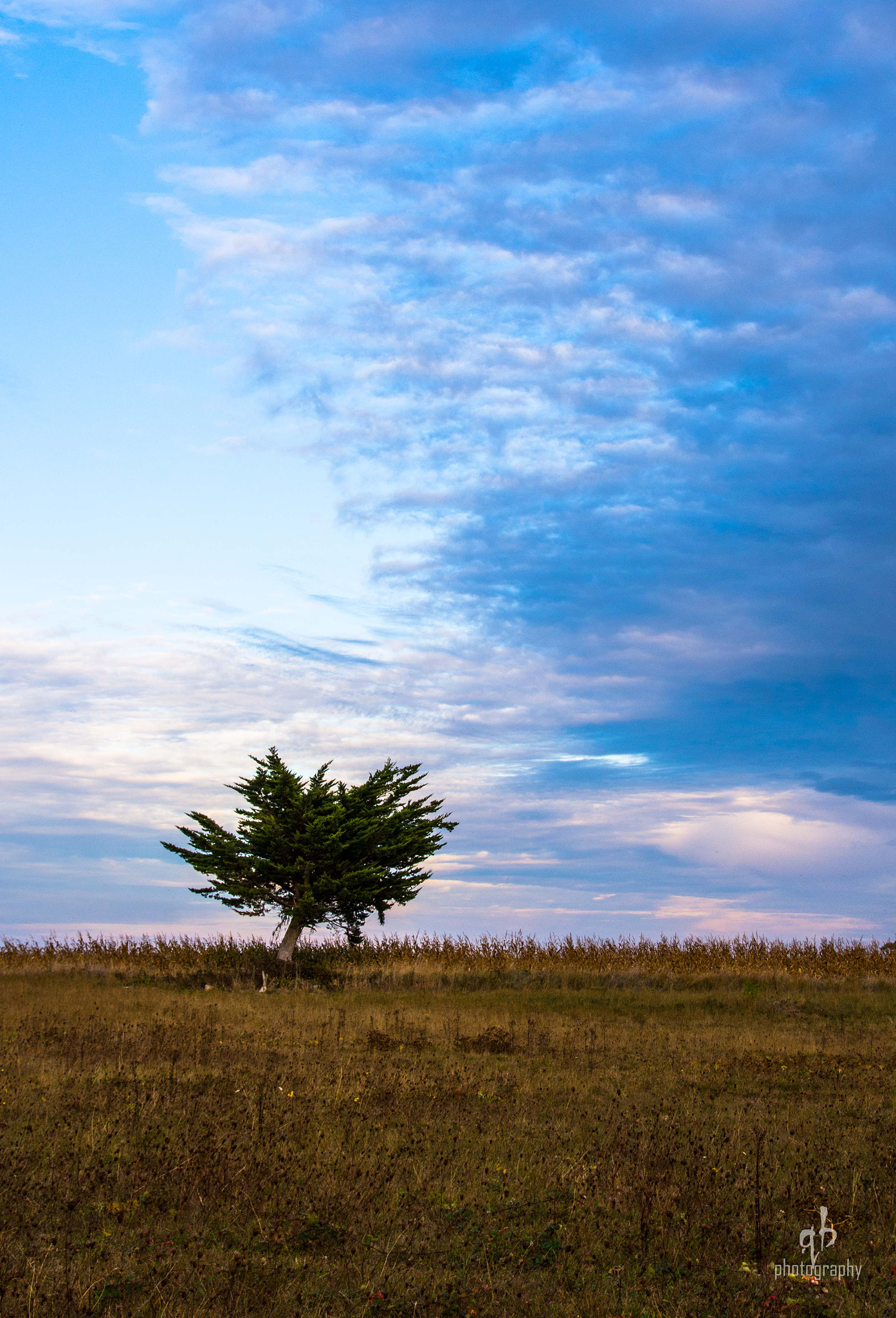 Nikon D7200 + Sigma 18-50mm F2.8 EX DC Macro sample photo. Solitude photography