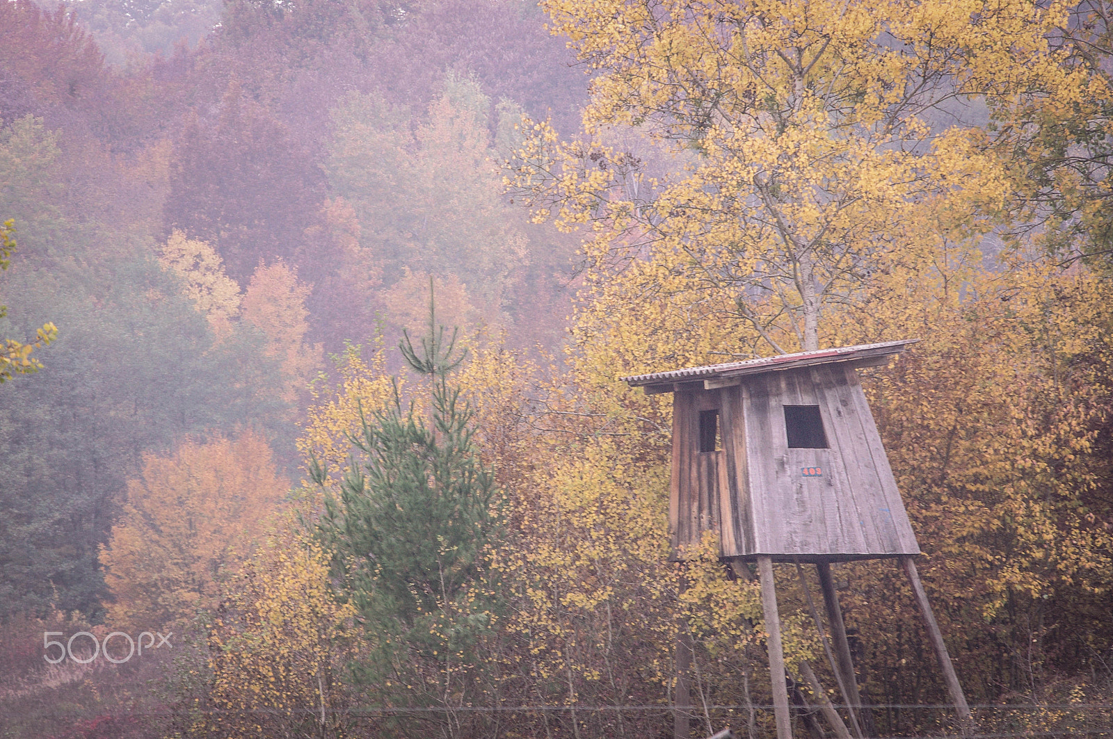 Pentax K-x sample photo. Autumn photography