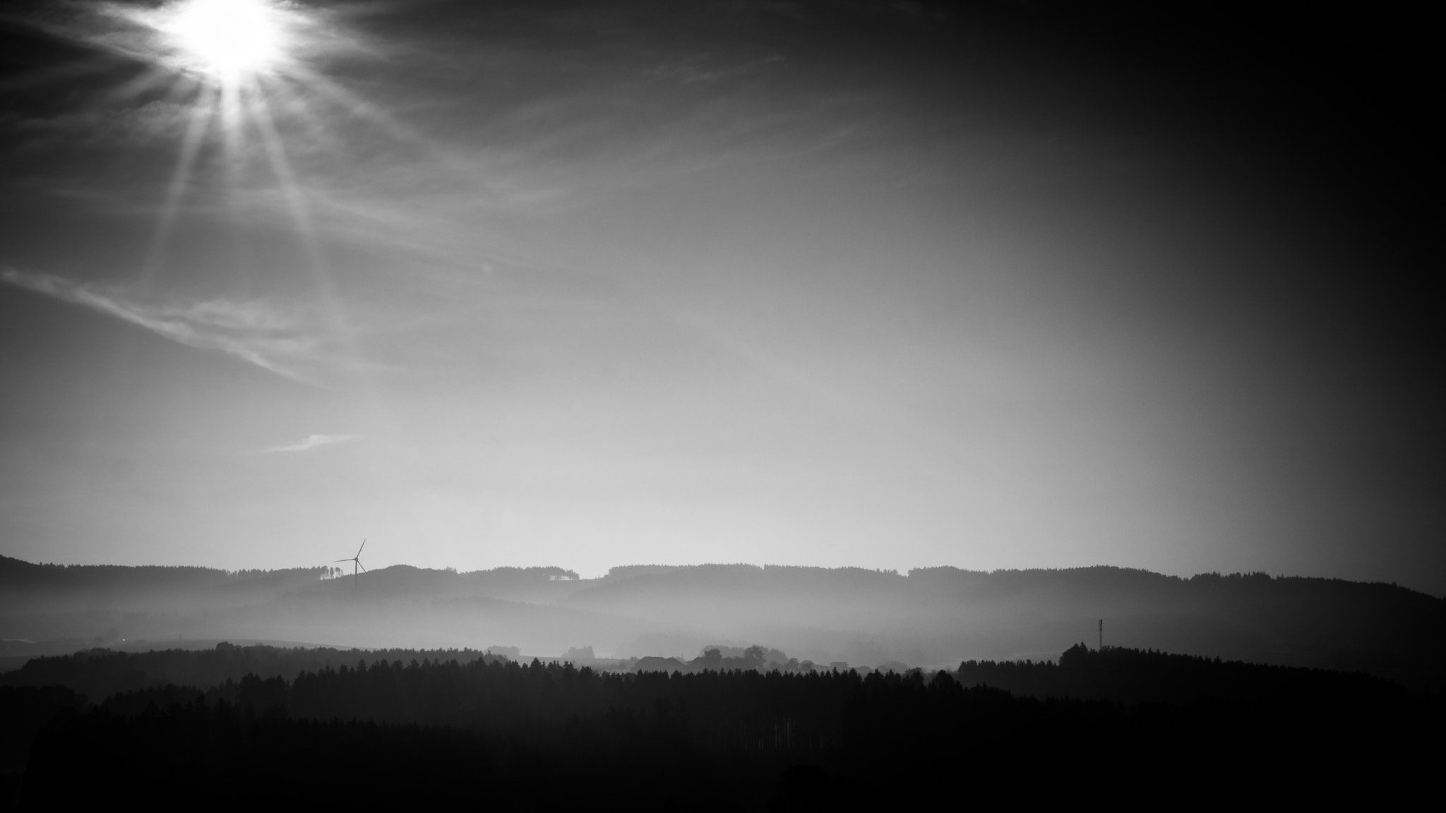 Sigma 30mm F1.4 EX DC HSM sample photo. Sun over the forest photography