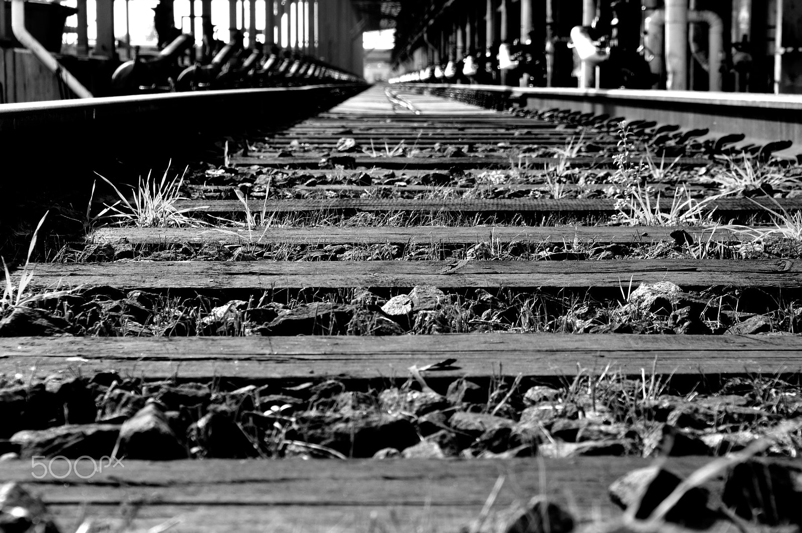 Pentax K-3 II sample photo. Steps ... photography
