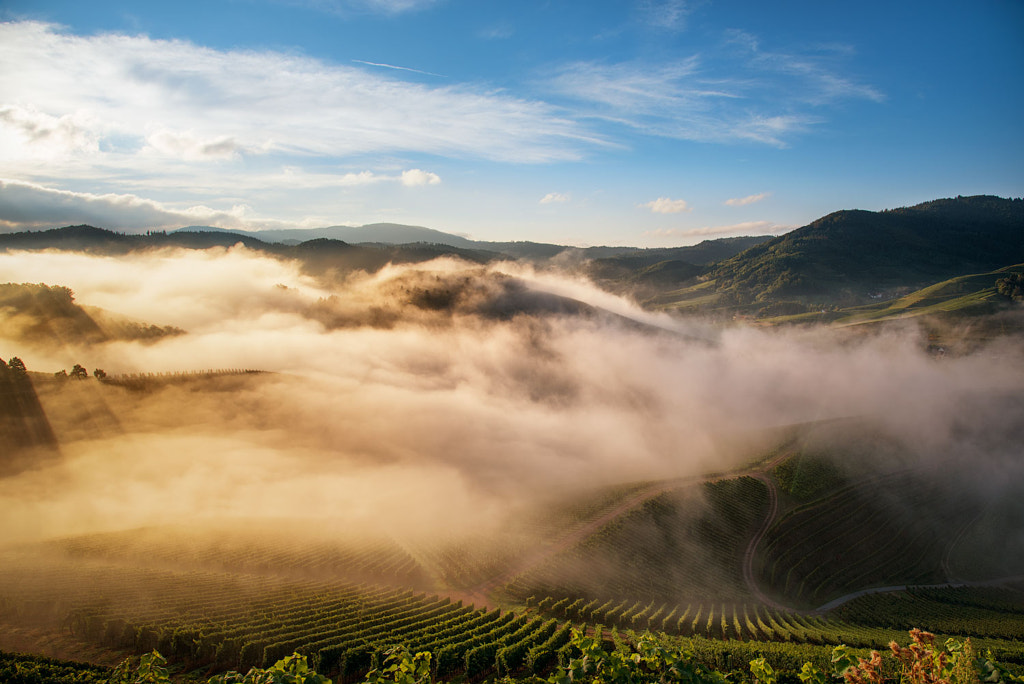 Rising Sun by Pascal Schirmer on 500px.com