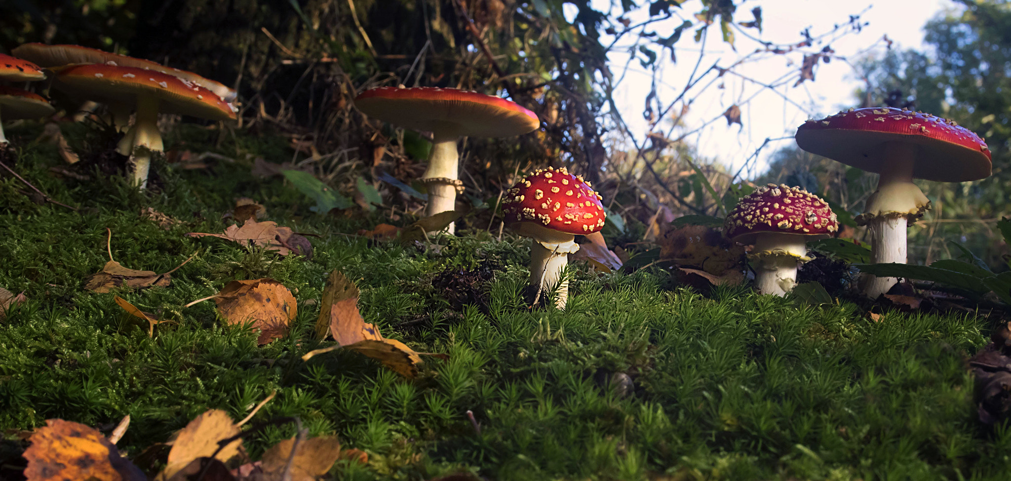 EF28-70mm f/2.8L USM sample photo. Autumn scene photography