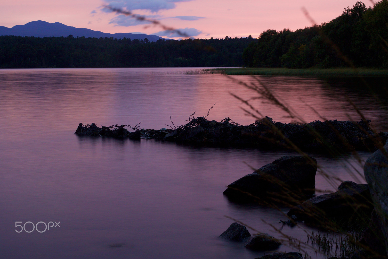 Canon EOS 760D (EOS Rebel T6s / EOS 8000D) + Canon EF 50mm F1.4 USM sample photo. Polarising filter photography