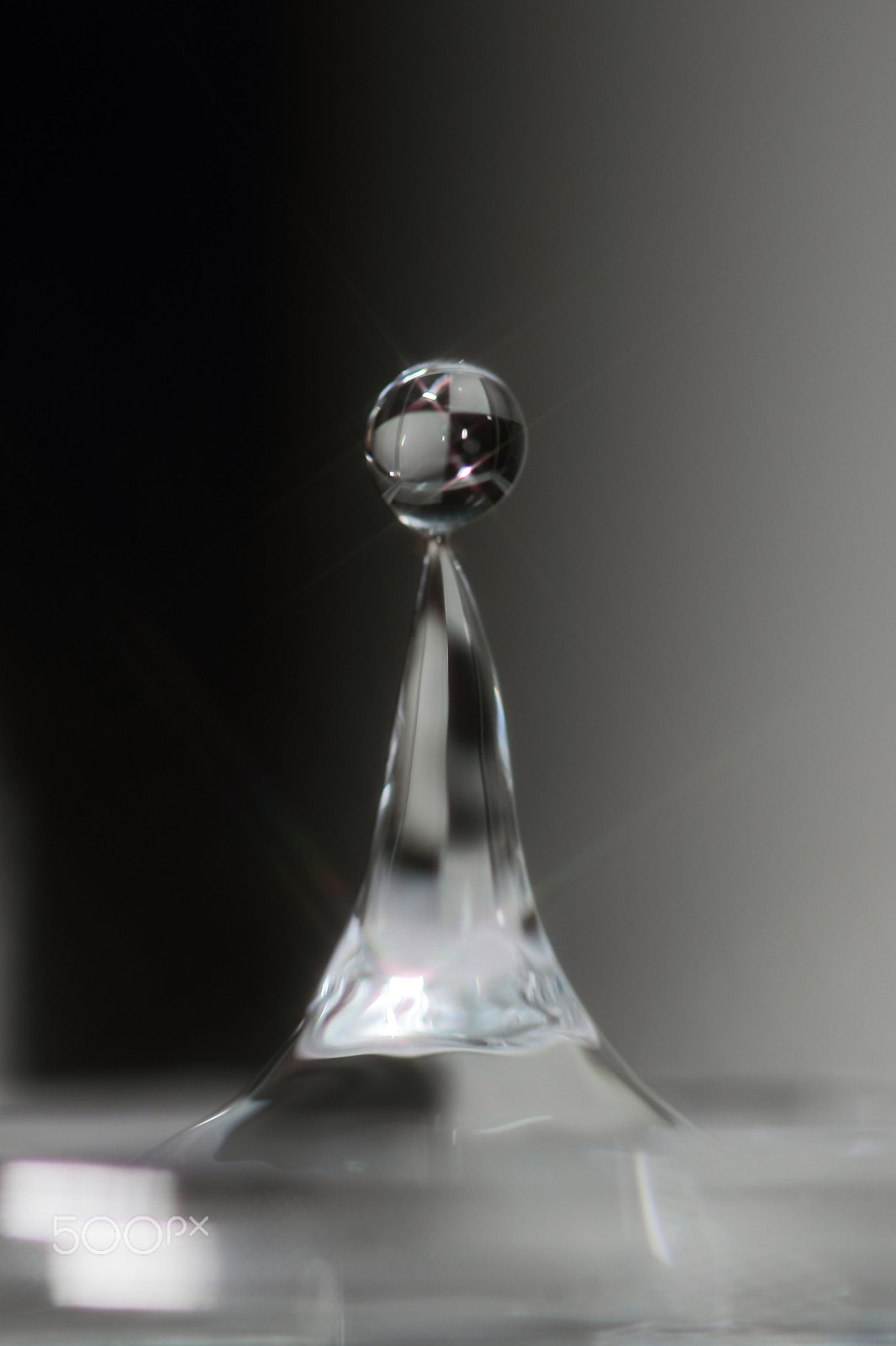 Canon EF 100mm F2.8 Macro USM sample photo. Monotone photography