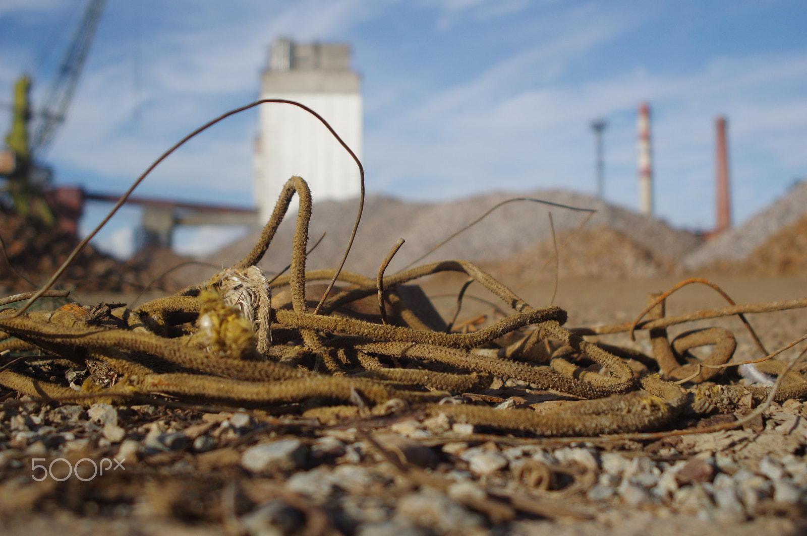 Sigma 18-200mm F3.5-6.3 DC sample photo. Abstraction ... photography