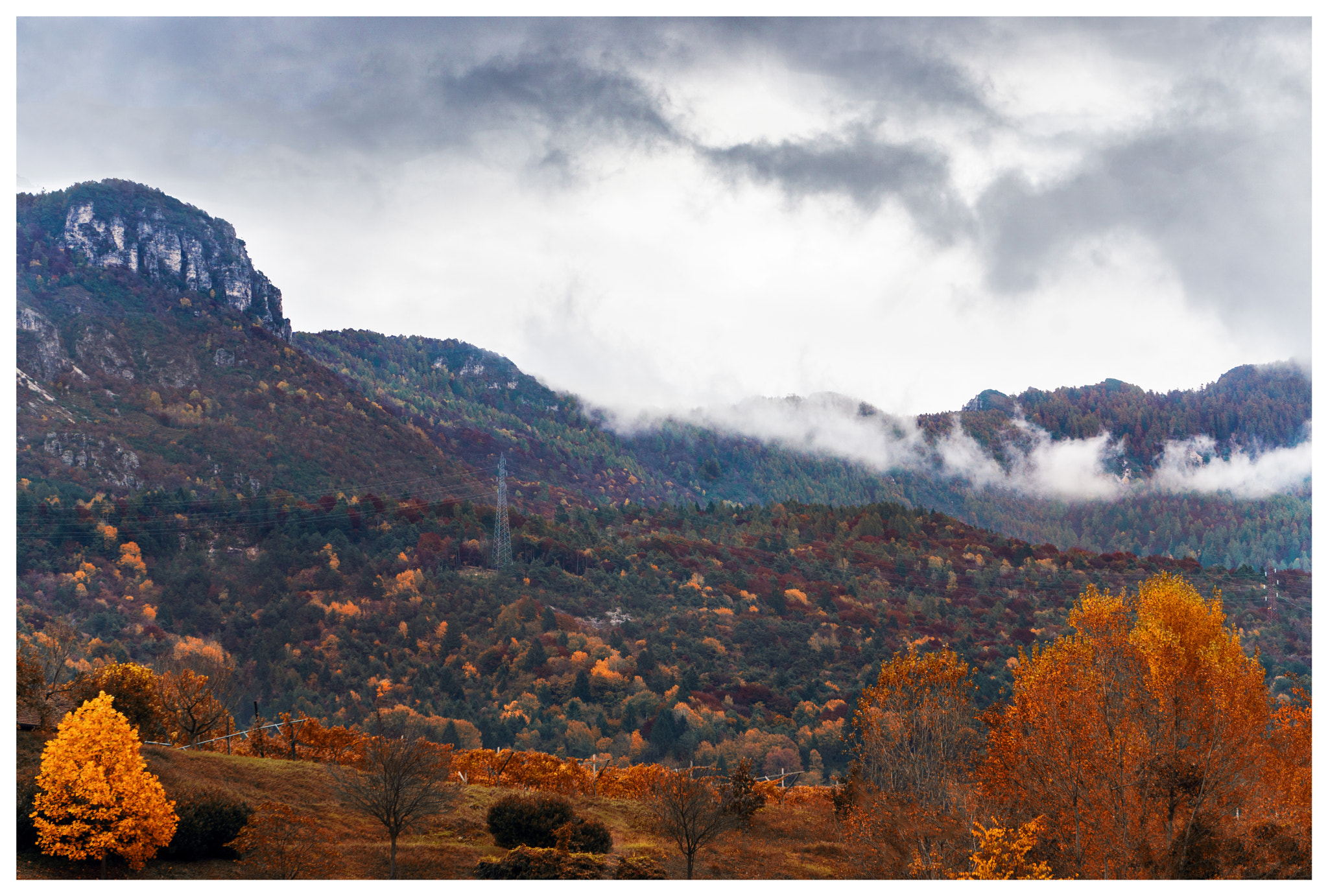 Sony a5100 sample photo. Autumn photography
