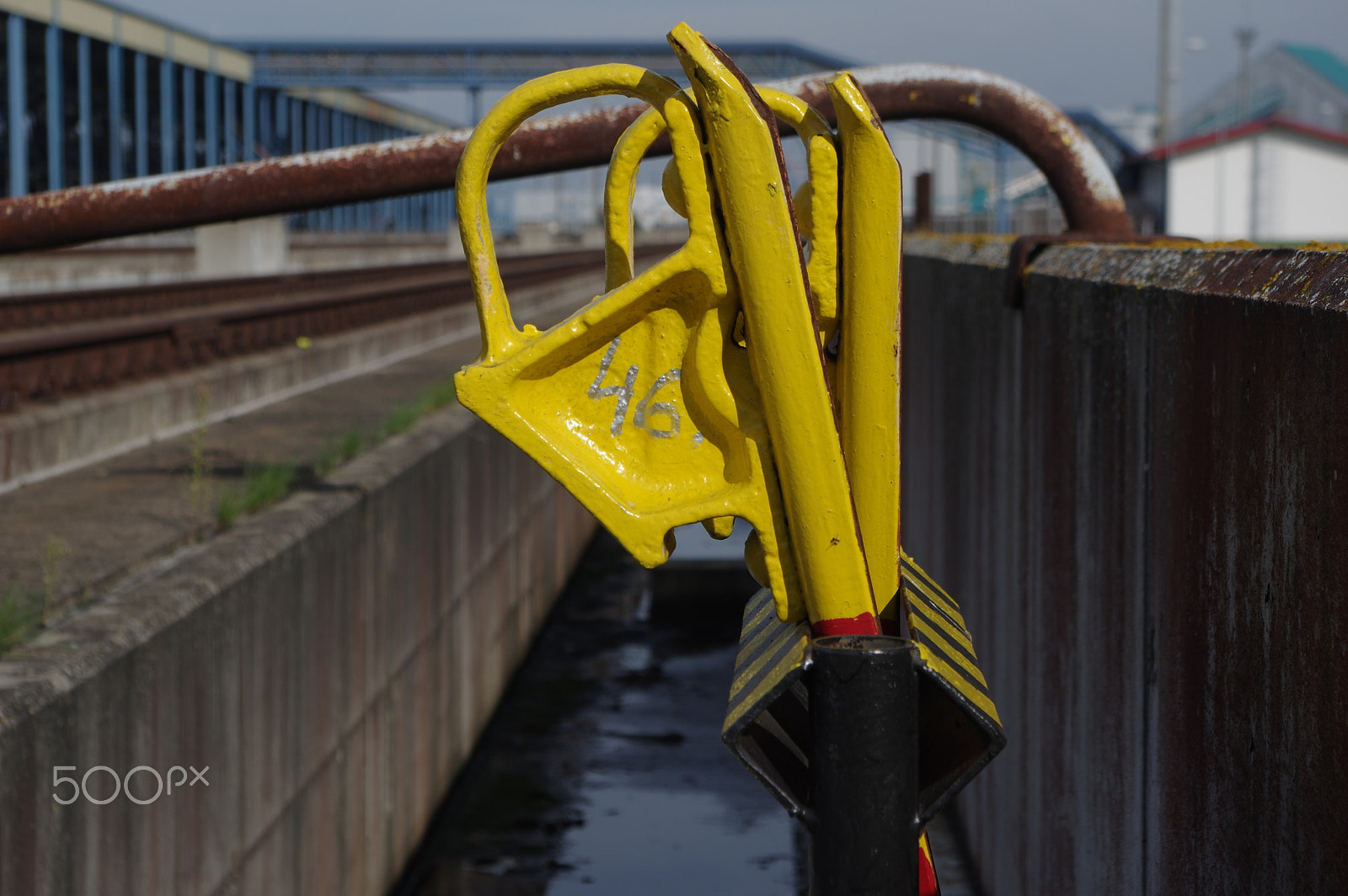 Pentax K-3 II sample photo. Yellow photography
