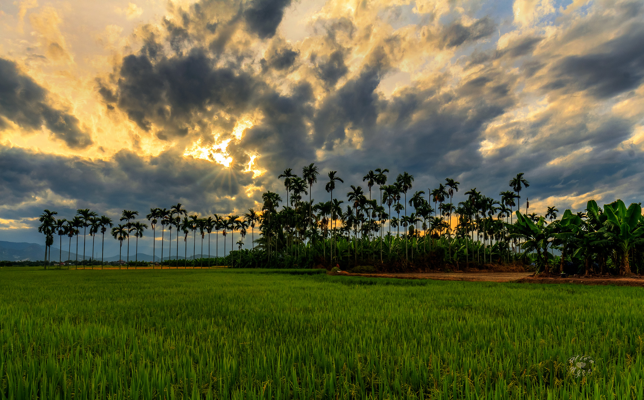 Canon EOS 650D (EOS Rebel T4i / EOS Kiss X6i) sample photo. Hang cau ptd photography