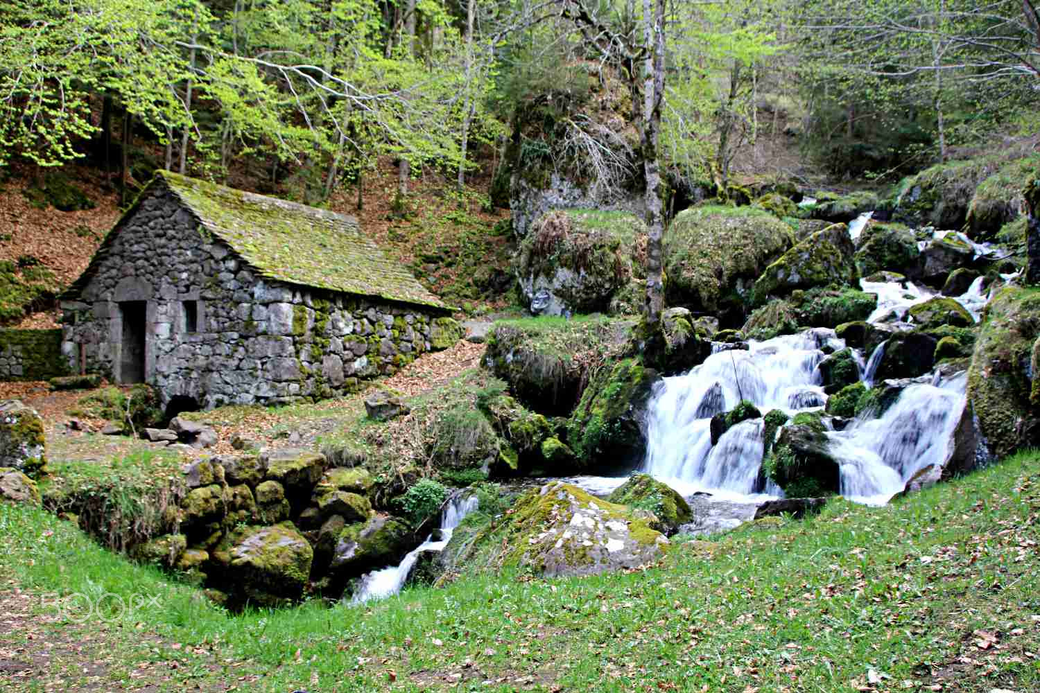 Sigma 18-250mm F3.5-6.3 DC OS HSM sample photo. Maison dans le cantal - france photography