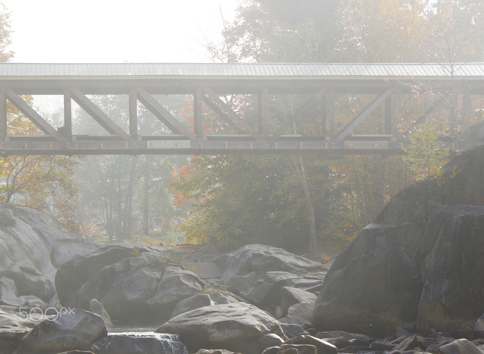 Sony Alpha NEX-3 sample photo. Misty morning photography