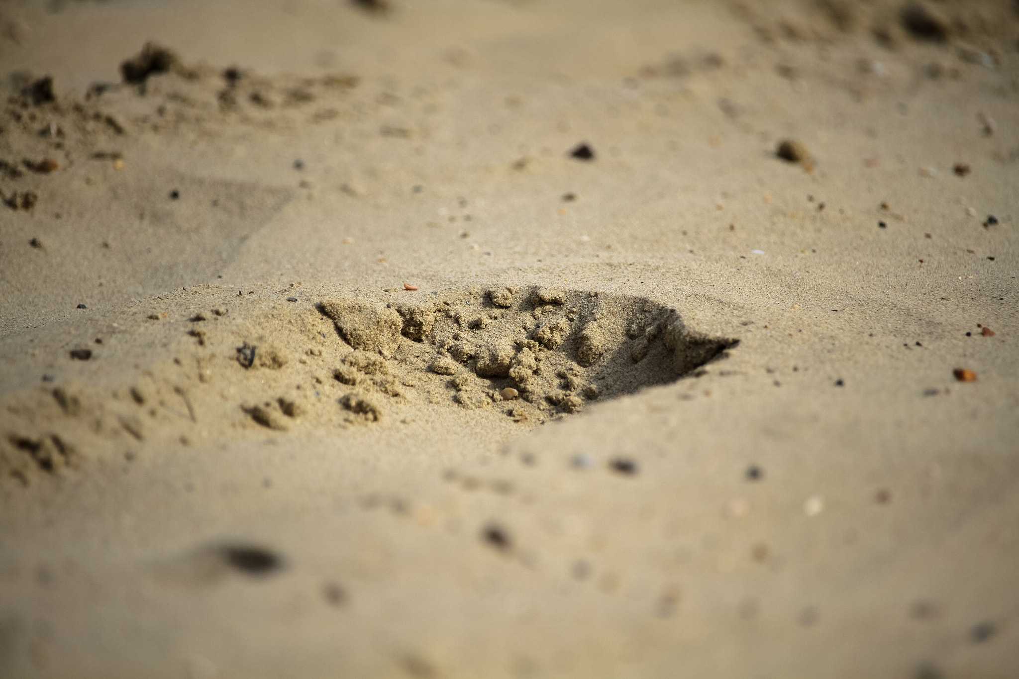 Canon EF-S 55-250mm F4-5.6 IS STM sample photo. Crater photography