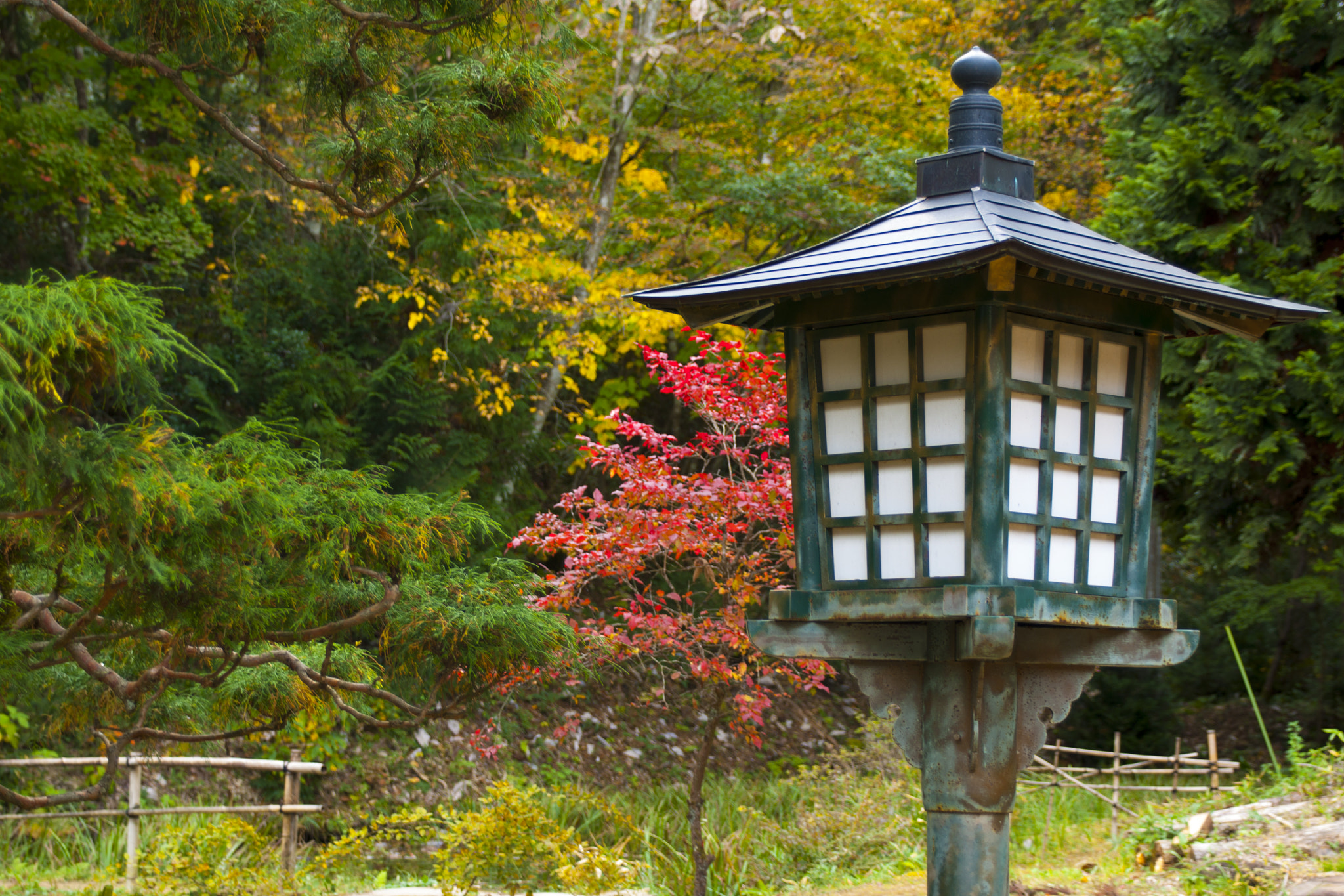 Minolta AF 24-85mm F3.5-4.5 [New] sample photo. Japan photography