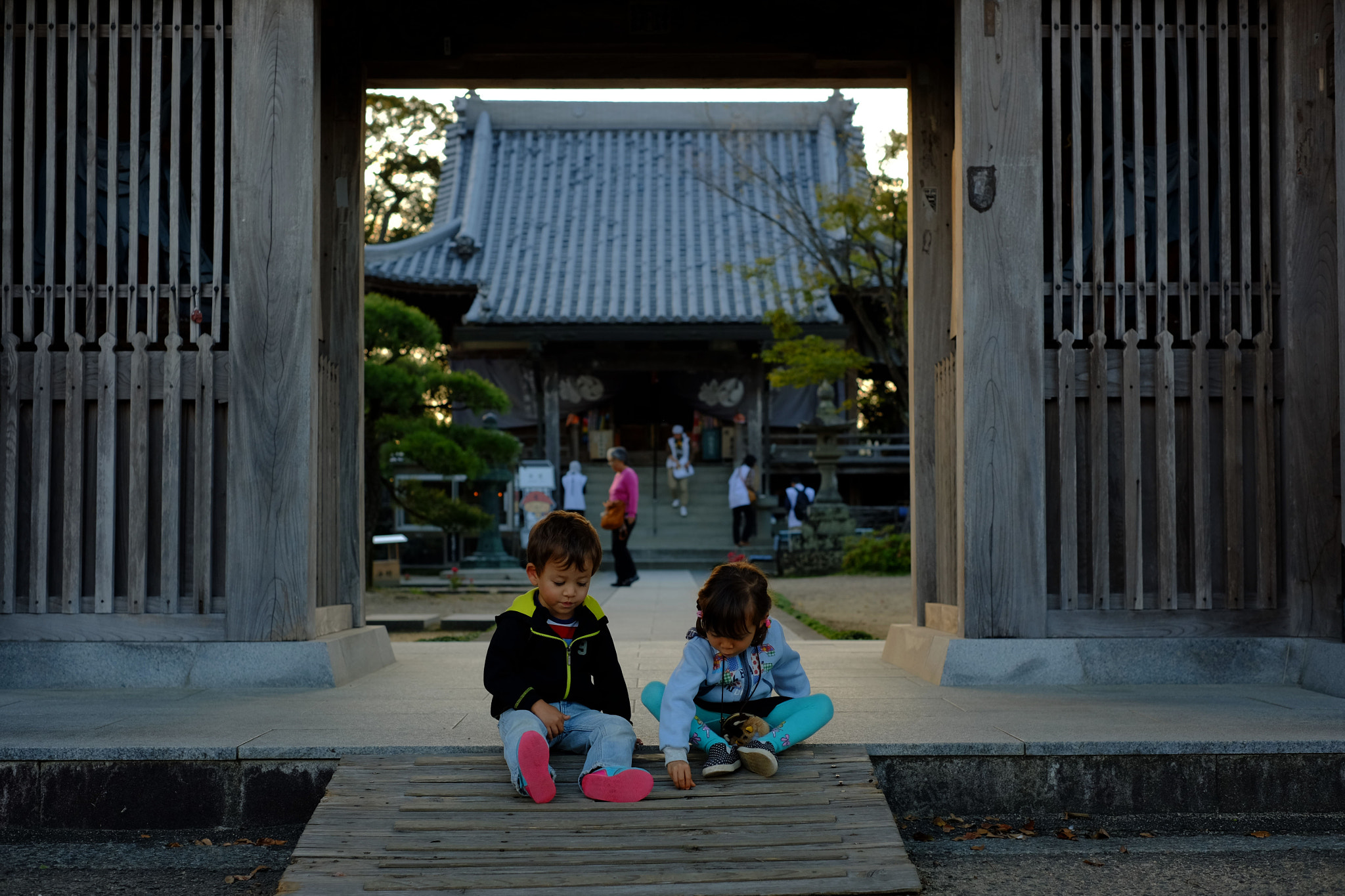 Fujifilm X-M1 + Fujifilm XF 35mm F1.4 R sample photo. Dscf photography