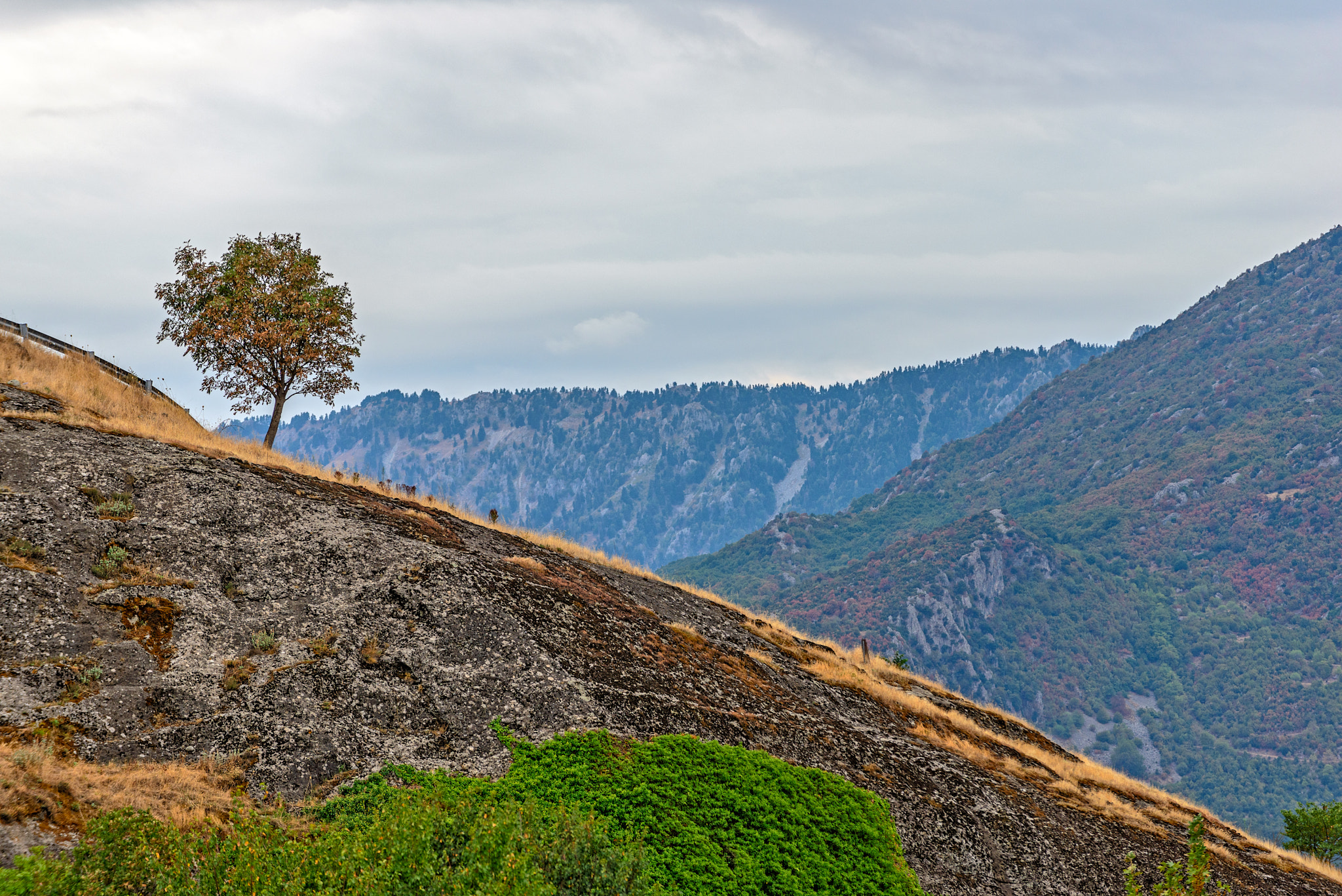 Nikon D800E sample photo. Lonely tree on rocky mountain slope photography