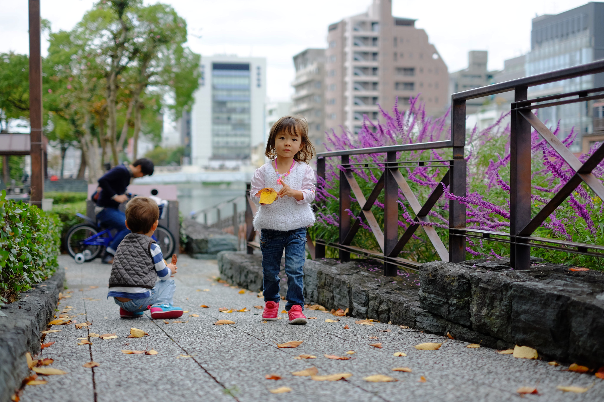 Fujifilm X-M1 + Fujifilm XF 35mm F1.4 R sample photo. Dscf photography