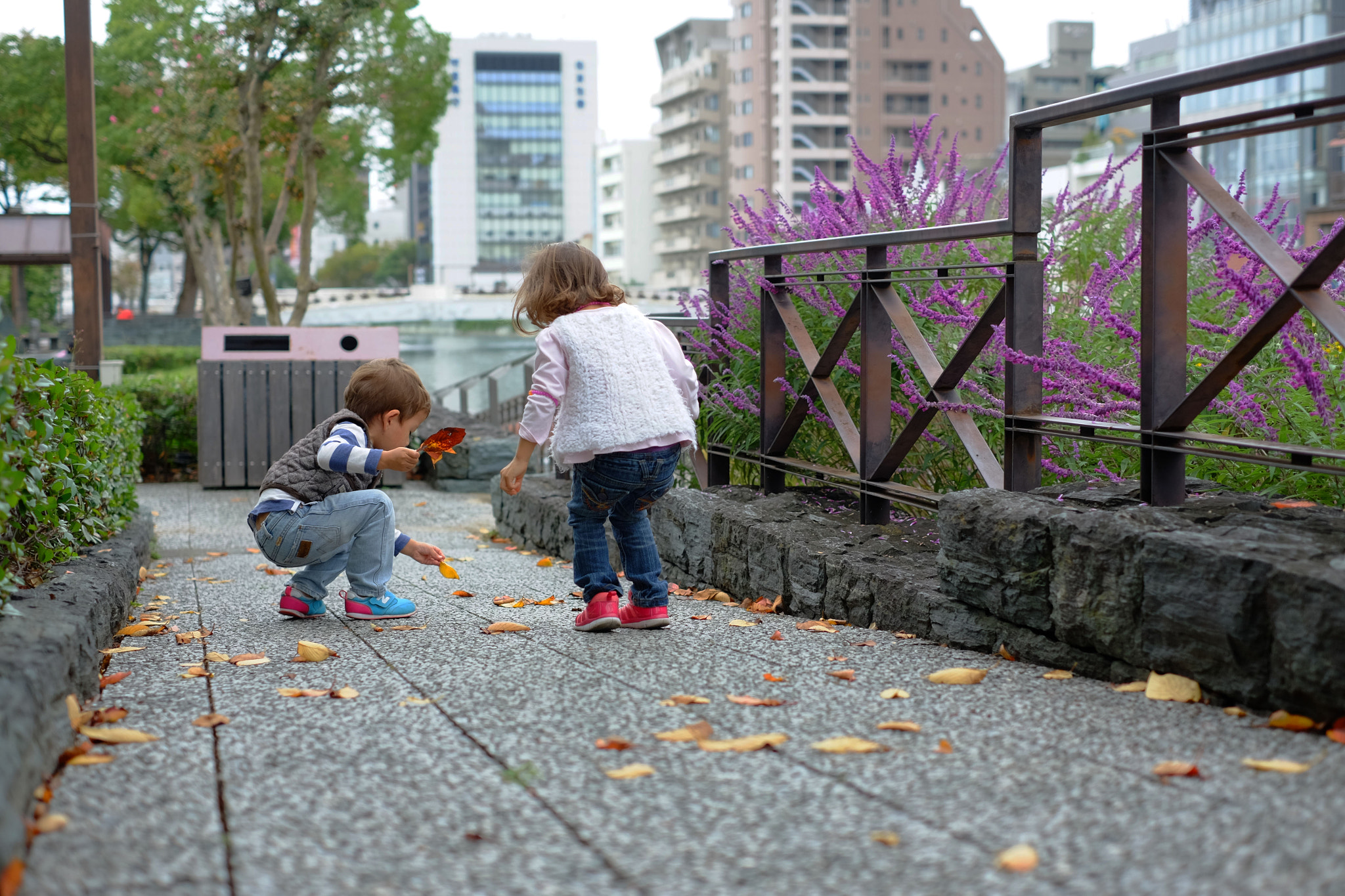 Fujifilm X-M1 + Fujifilm XF 35mm F1.4 R sample photo. Dscf photography