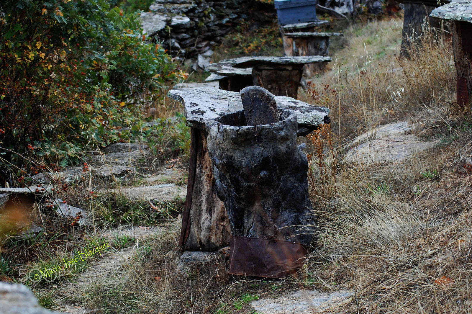 Nikon D40 sample photo. Tradiciones photography