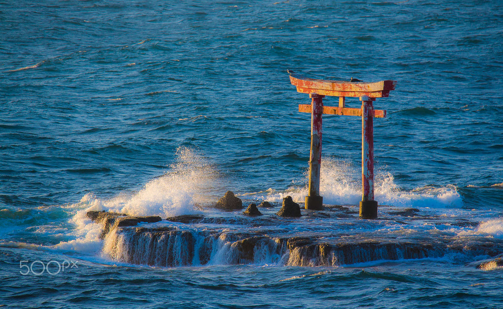 Sony a7S + Tamron SP 150-600mm F5-6.3 Di VC USD sample photo. Japanese jinja shrine gate in the sea photography